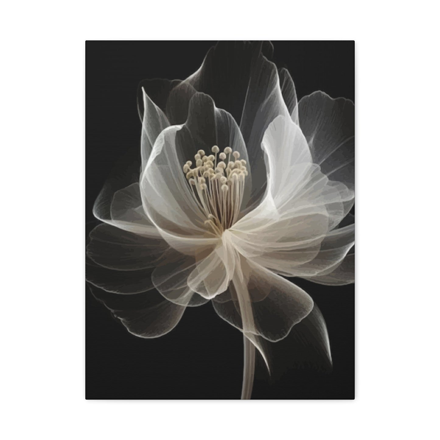 White flower Wall Art & Canvas Prints