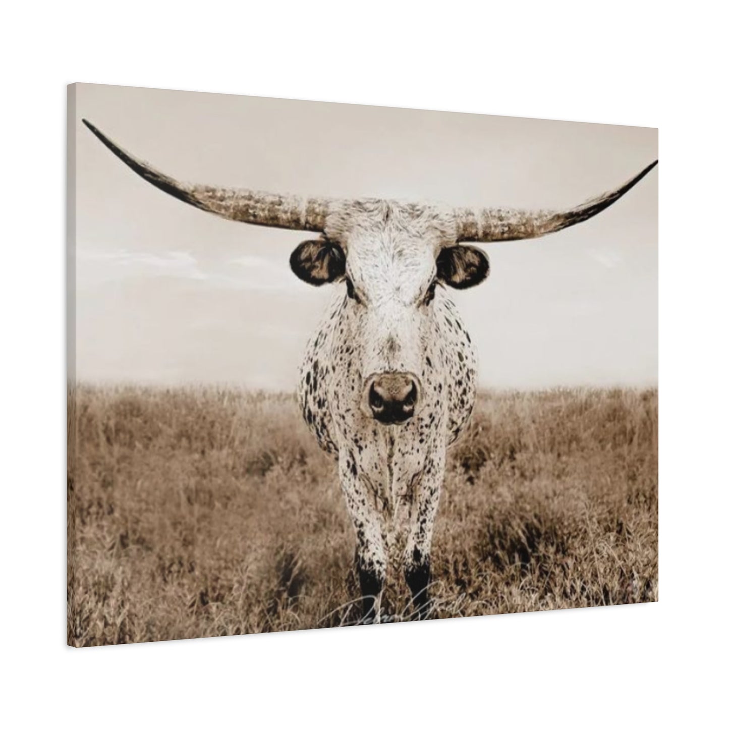 Straight Long Horn Wall Art & Canvas Prints