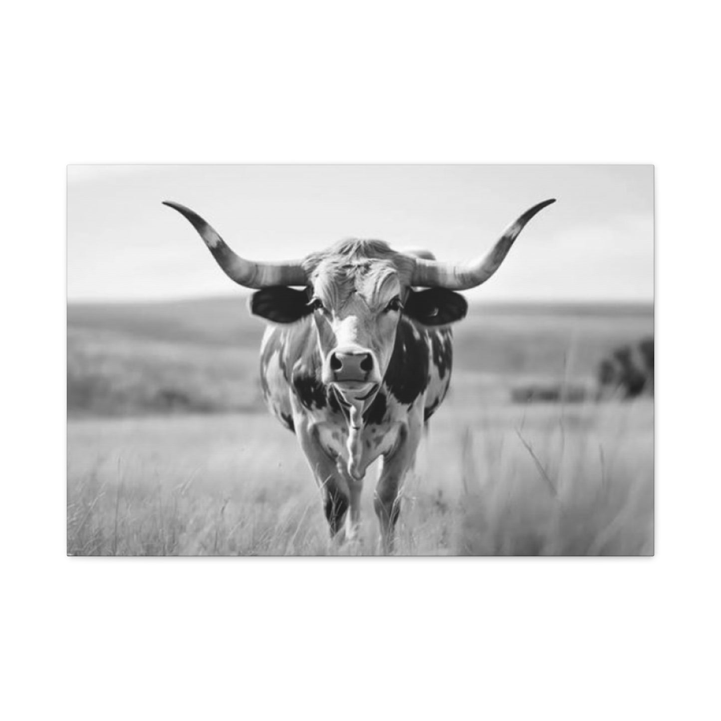 Monochrome Curvy Long Horn Wall Art & Canvas Prints