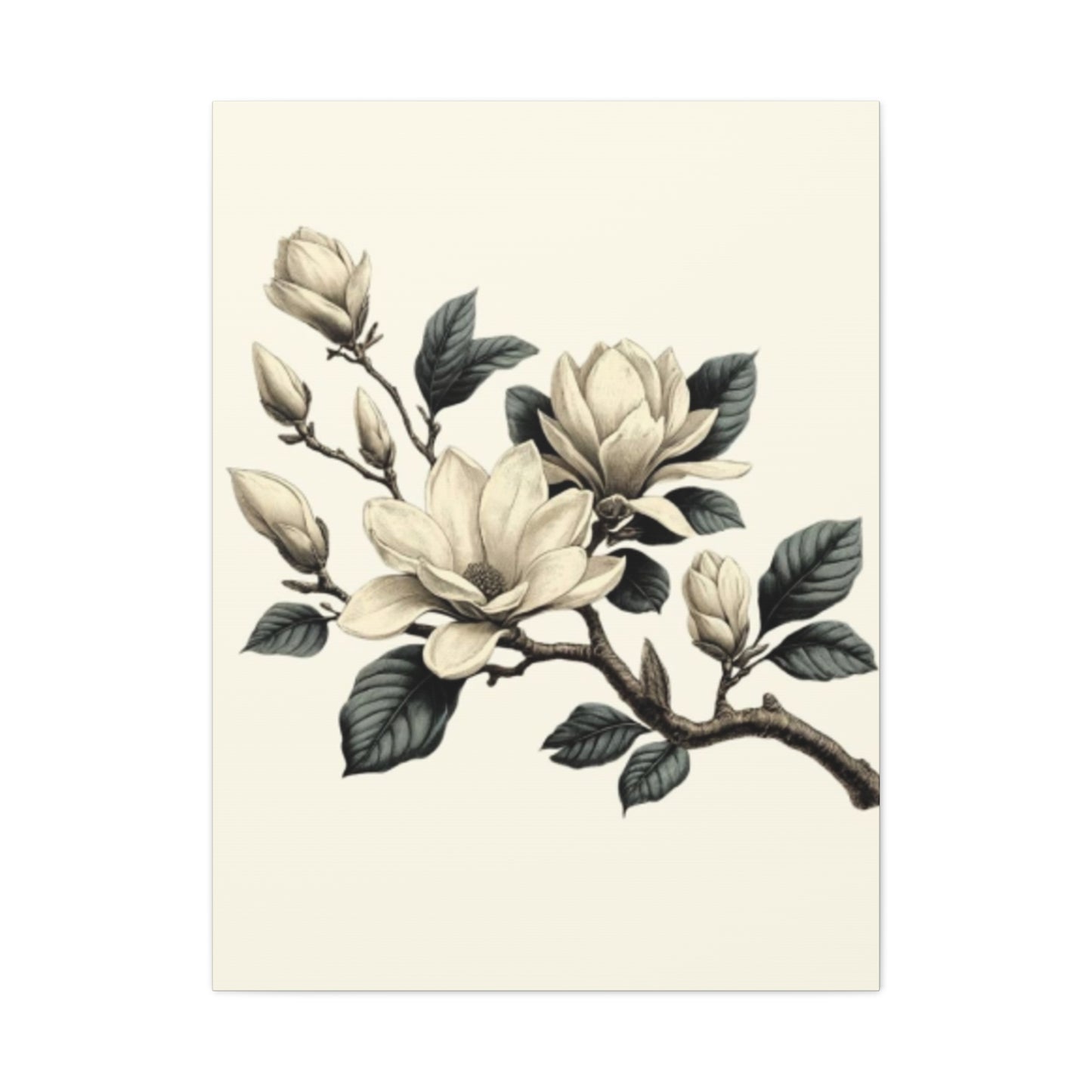 White Magnolia Flower Painting Wall Art & Canvas Prints