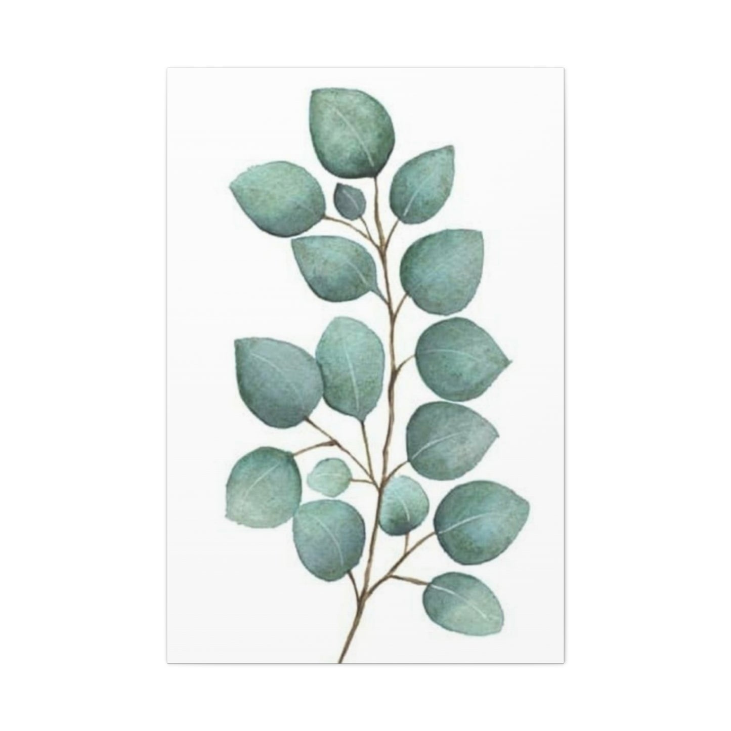 Eucalyptus Stem Wall Art & Canvas Prints