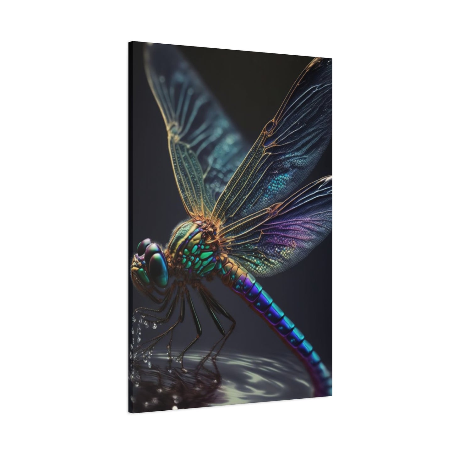 Dragonfly Closeup Wall Art & Canvas Prints