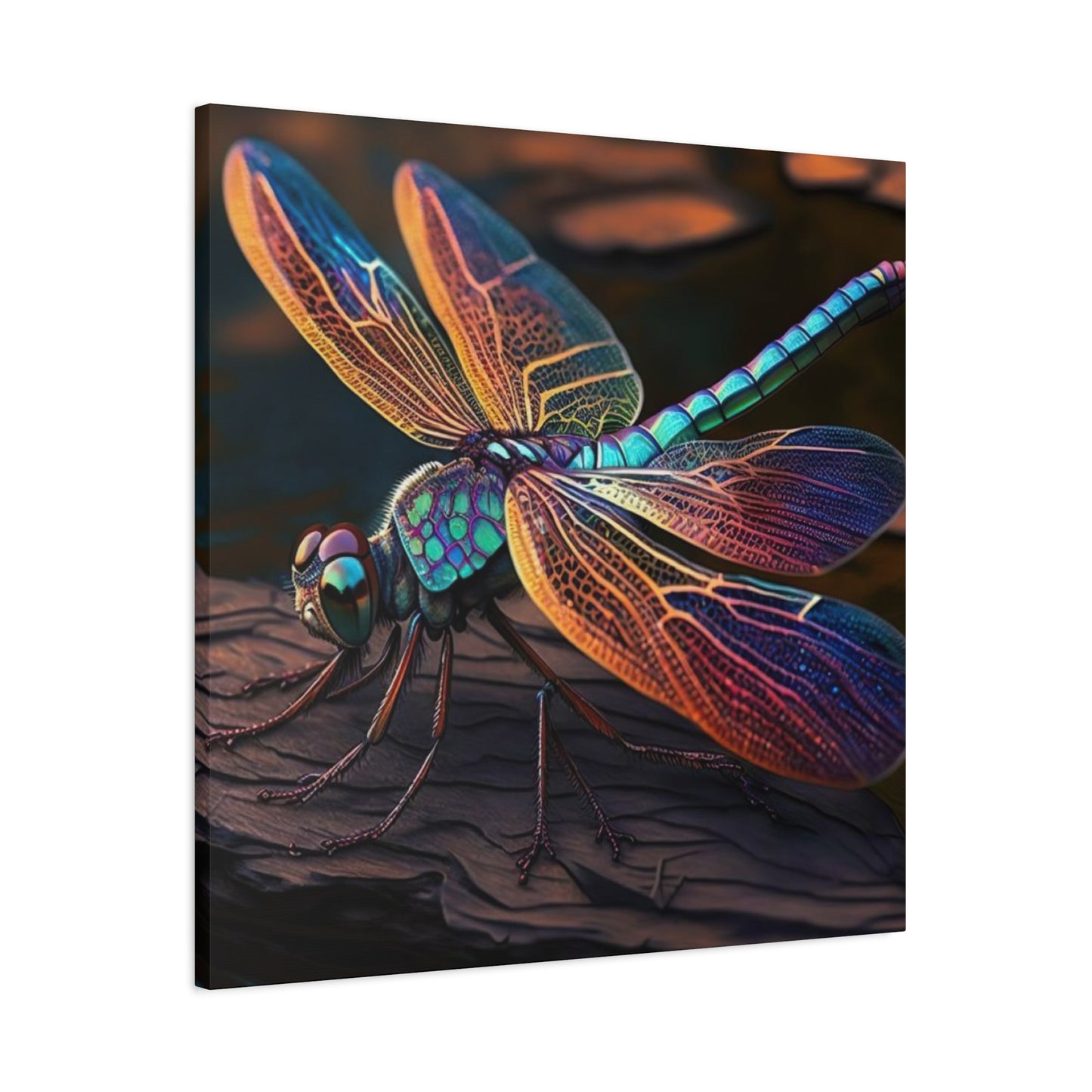 Colorful Dragonfly Candid Wall Art & Canvas Prints