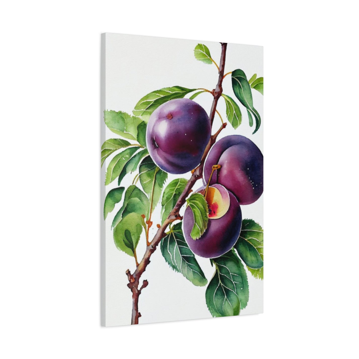 Black Plum Wall Art & Canvas Prints