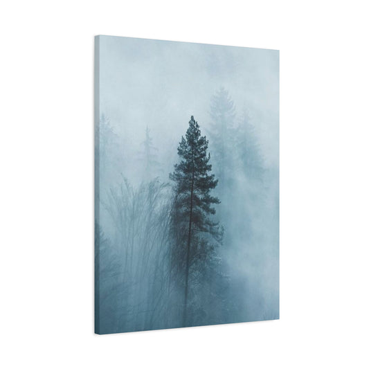 Tropical rain Forest Wall Art & Canvas Prints