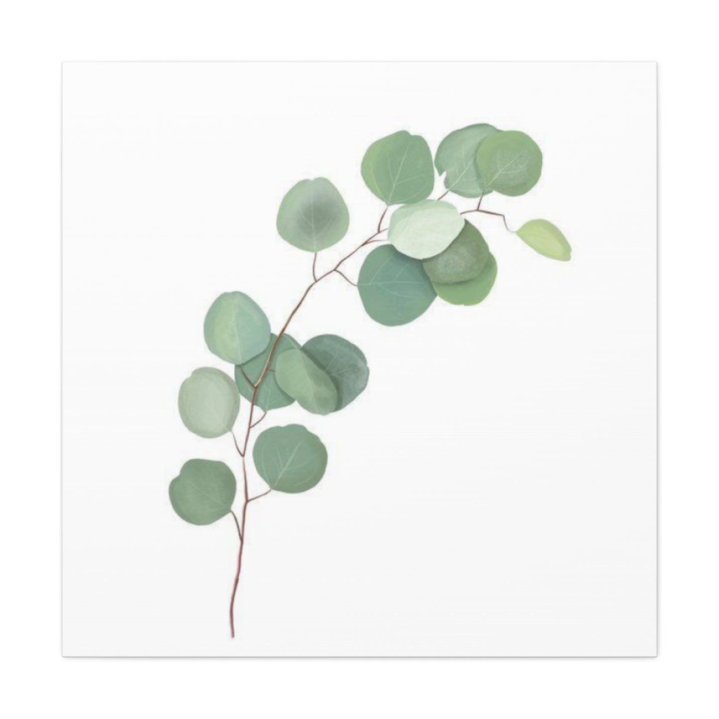 Eucalyptus Stem Wall Art & Canvas Prints