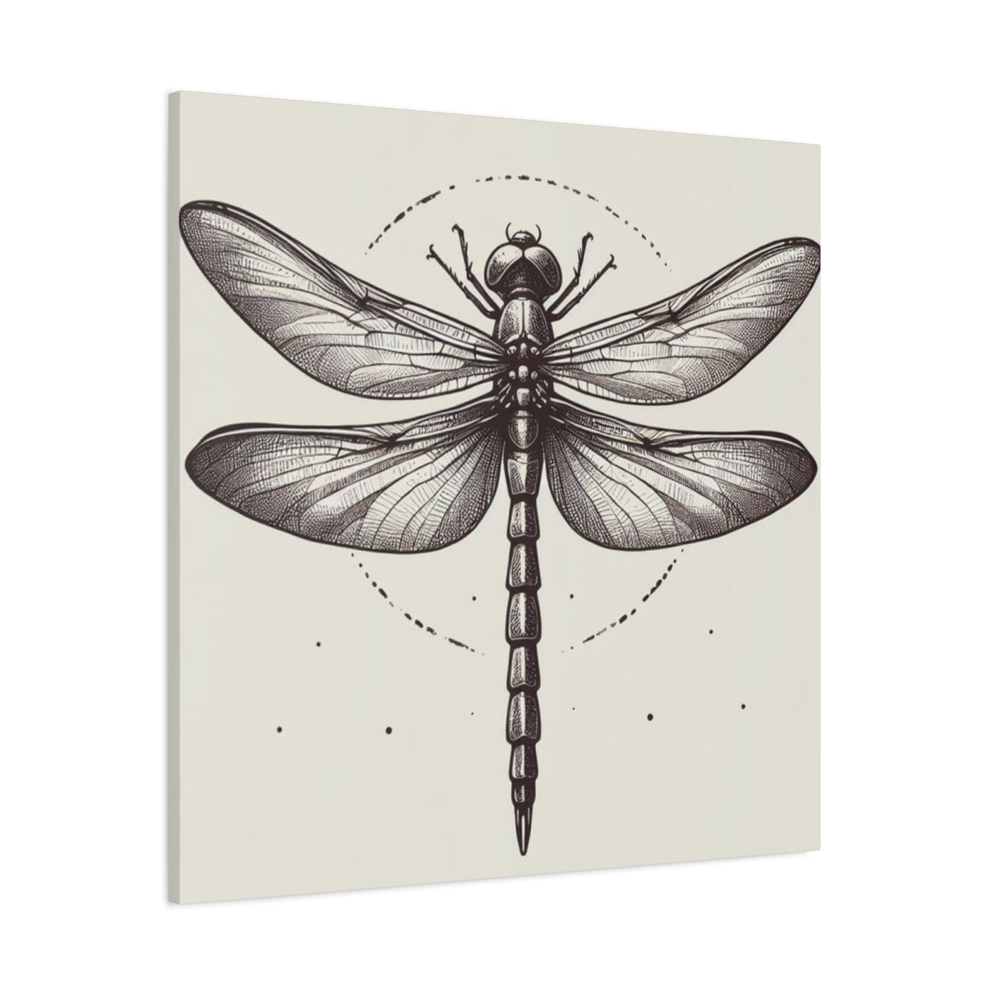 Vintage Picture Dragonfly Wall Art & Canvas Prints