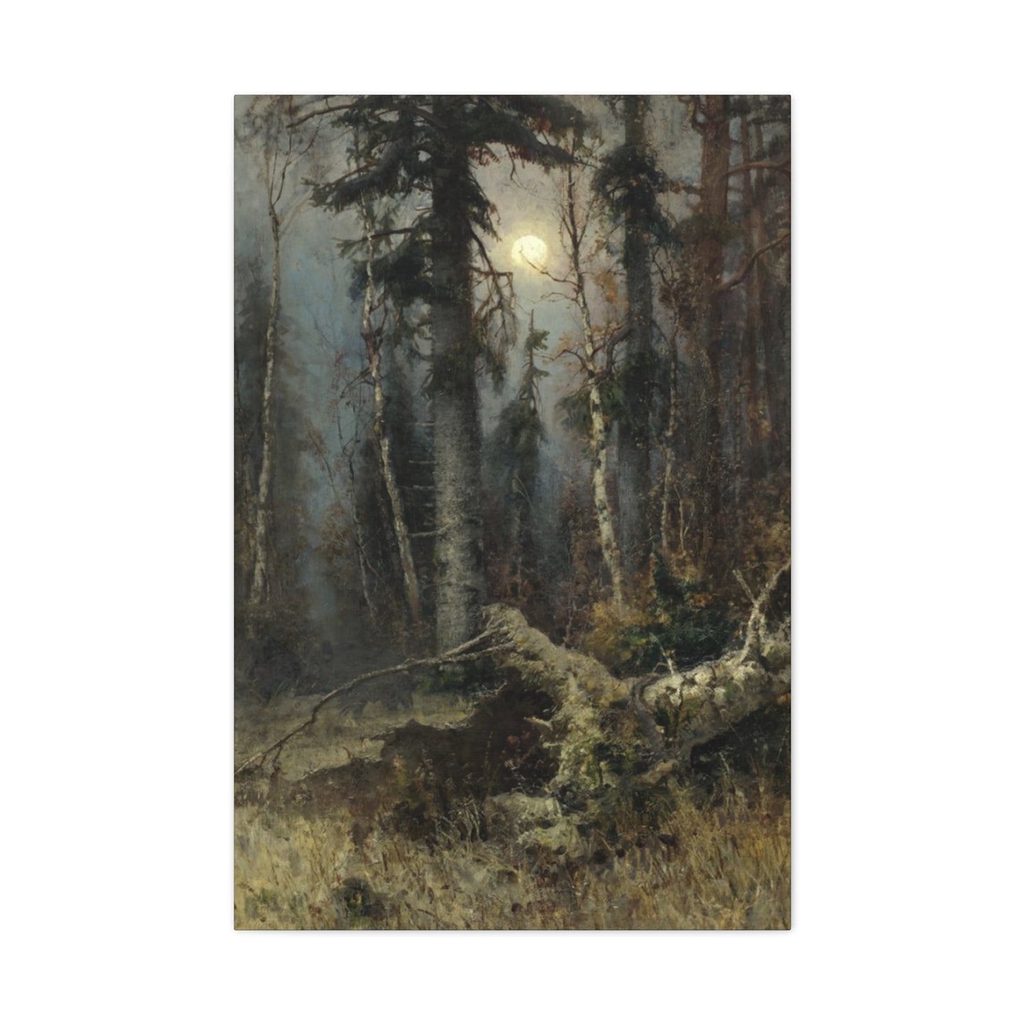 Full Moon Forest Wall Art & Canvas Prints