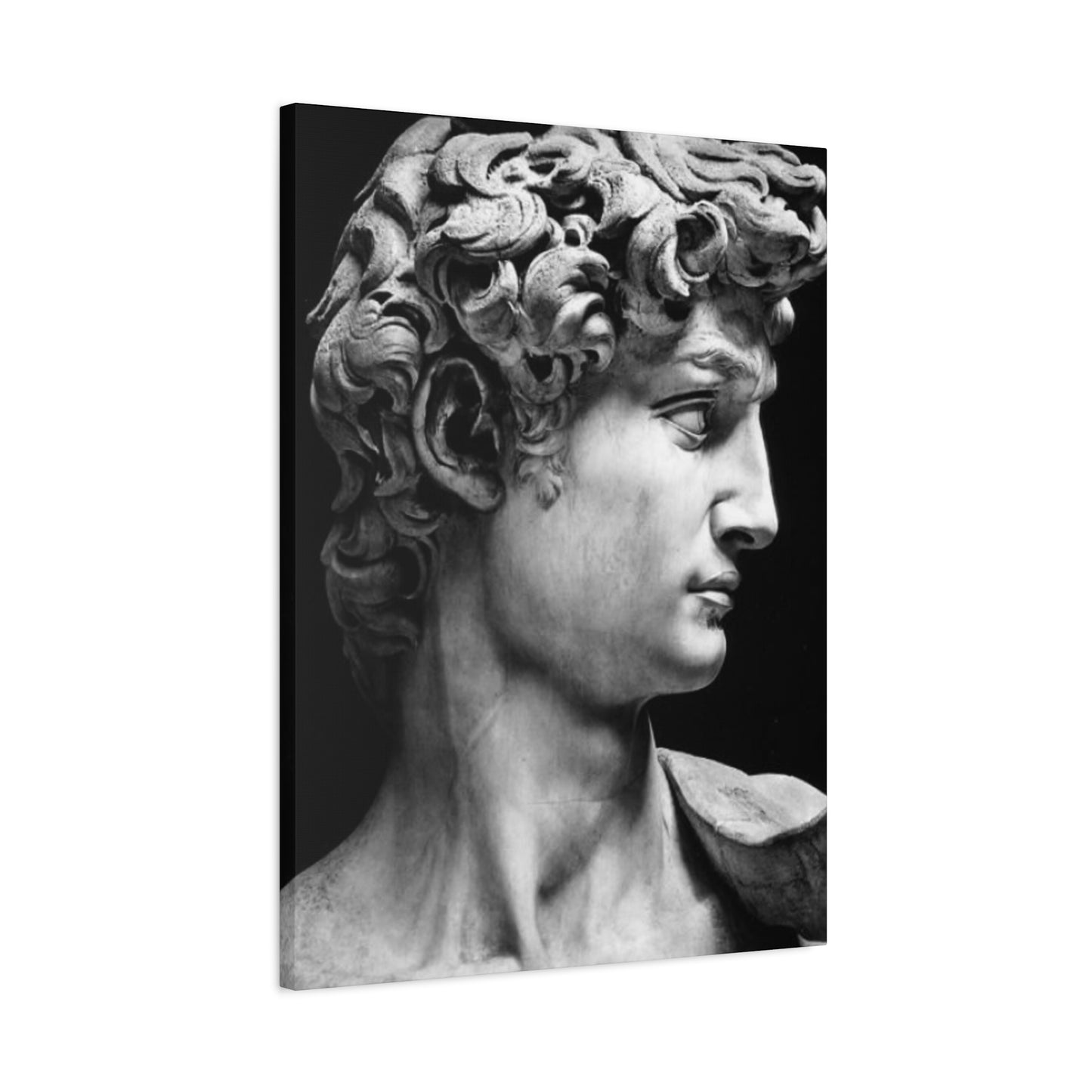 Sculpture If David Oil Painting Modernism Wall Art & Canvas Prints