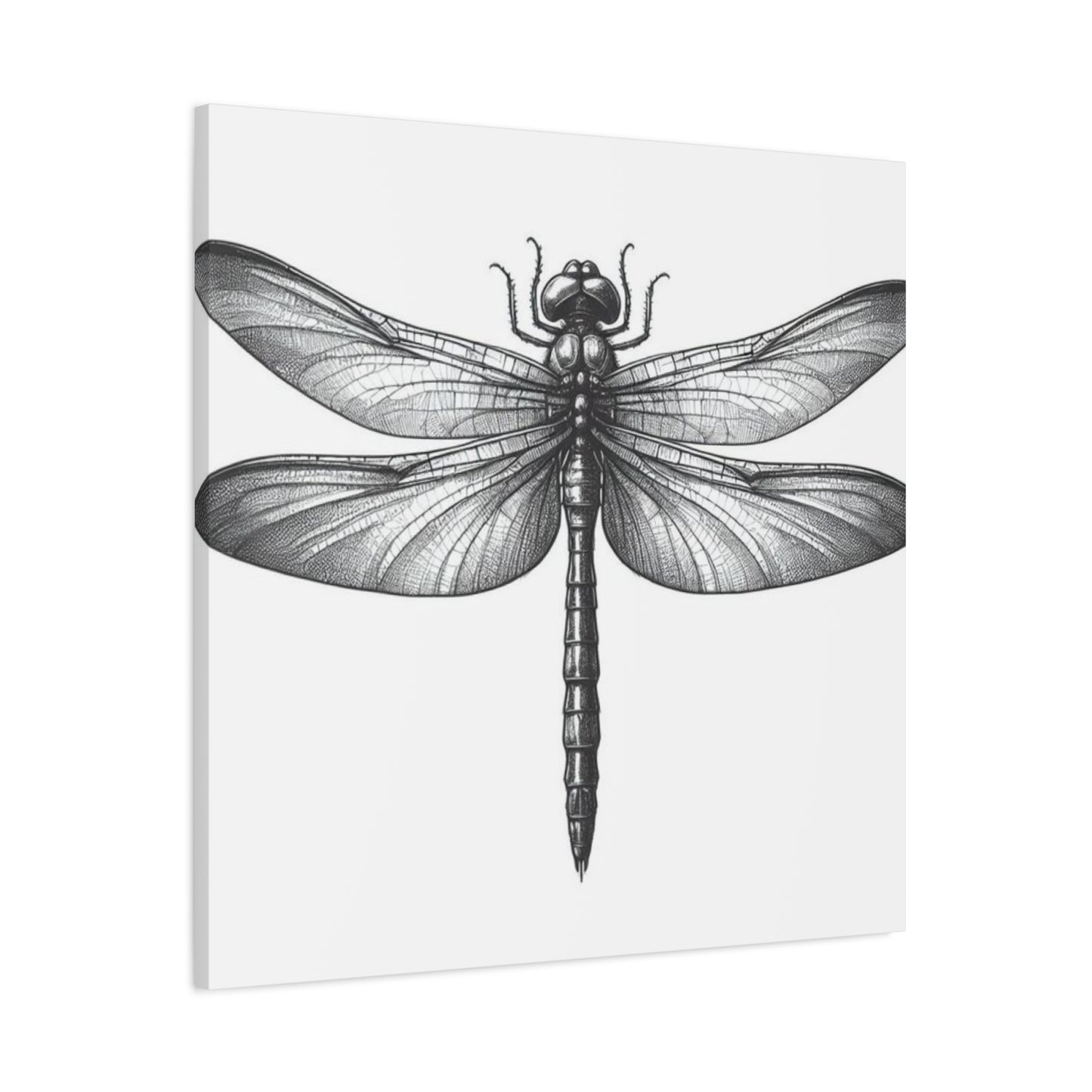 Top of Black Dragonfly Wall Art & Canvas Prints