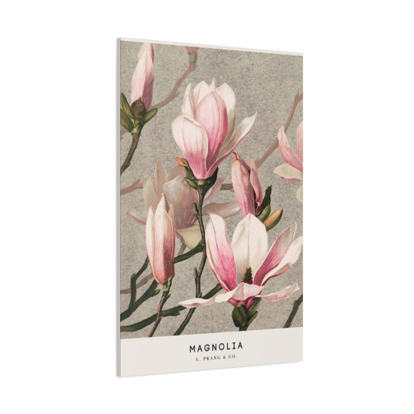 Pink Magnolia Flower Painting Wall Art & Canvas Prints