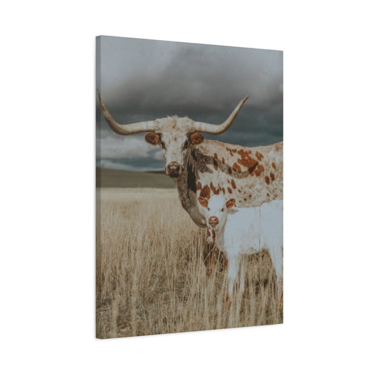 Wild Buffalo Family Longhorn Photos Wall Art & Canvas Prints