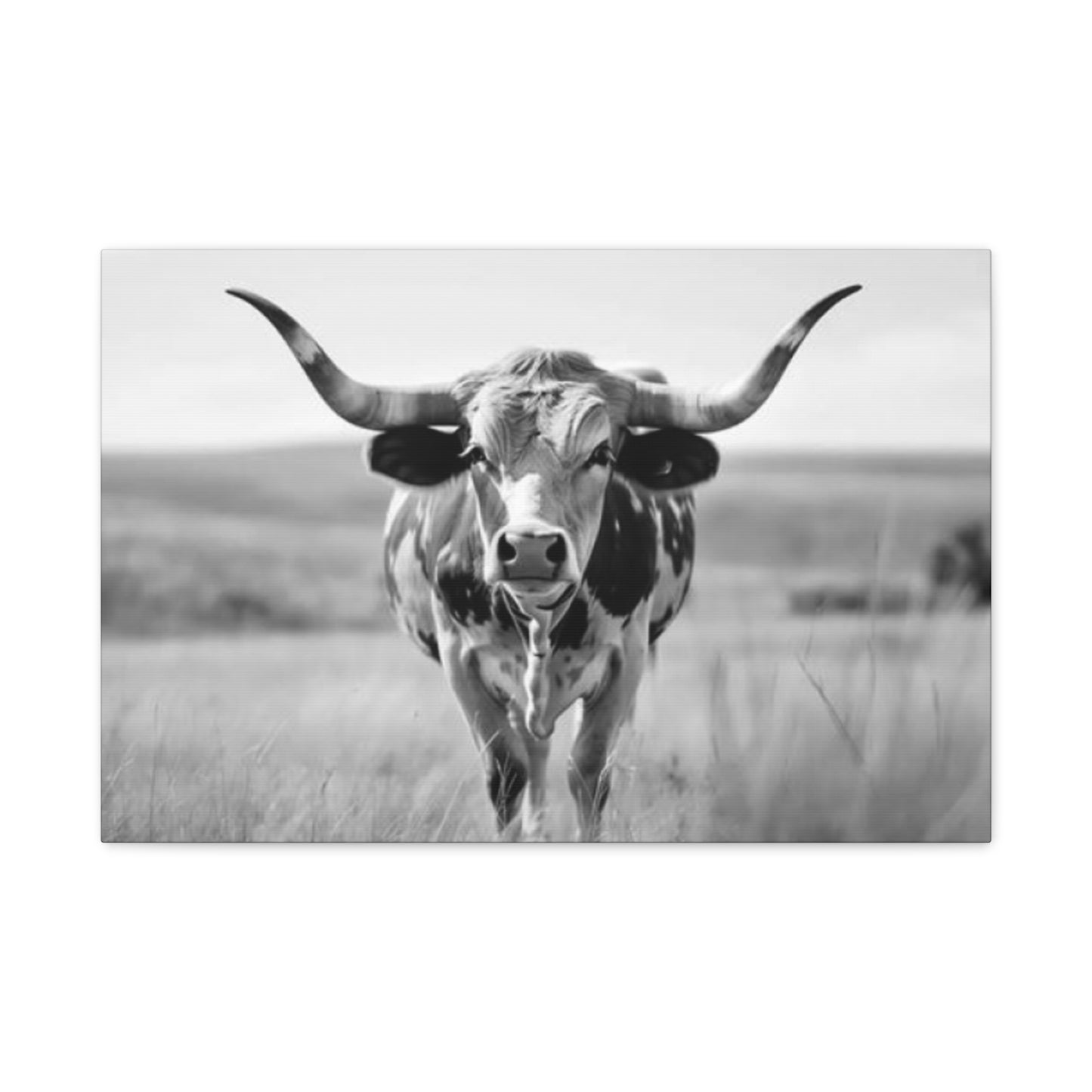 Monochrome Curvy Long Horn Wall Art & Canvas Prints