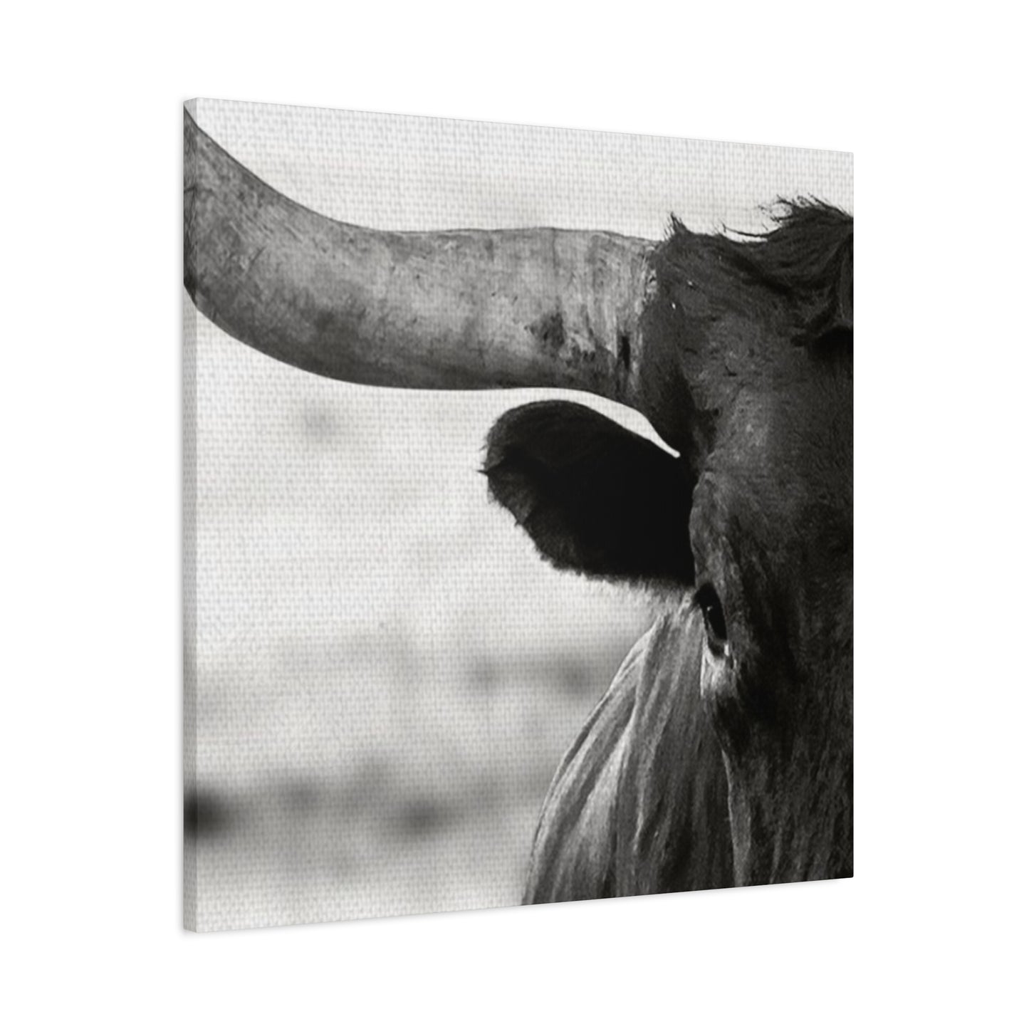 Close Up Of Long Horn Wall Art & Canvas Prints