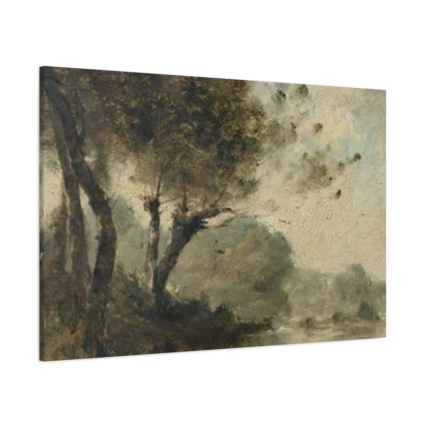 Fine Tree Wall Art & Canvas Prints