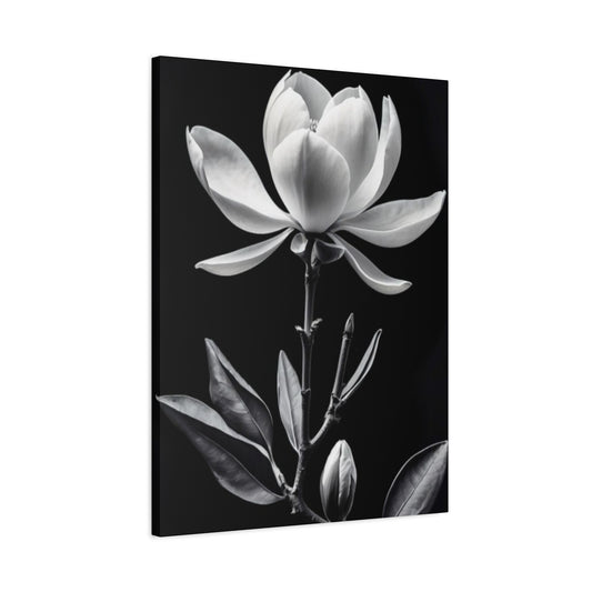 Monochrome Magnolia Flower Plant Wall Art & Canvas Prints