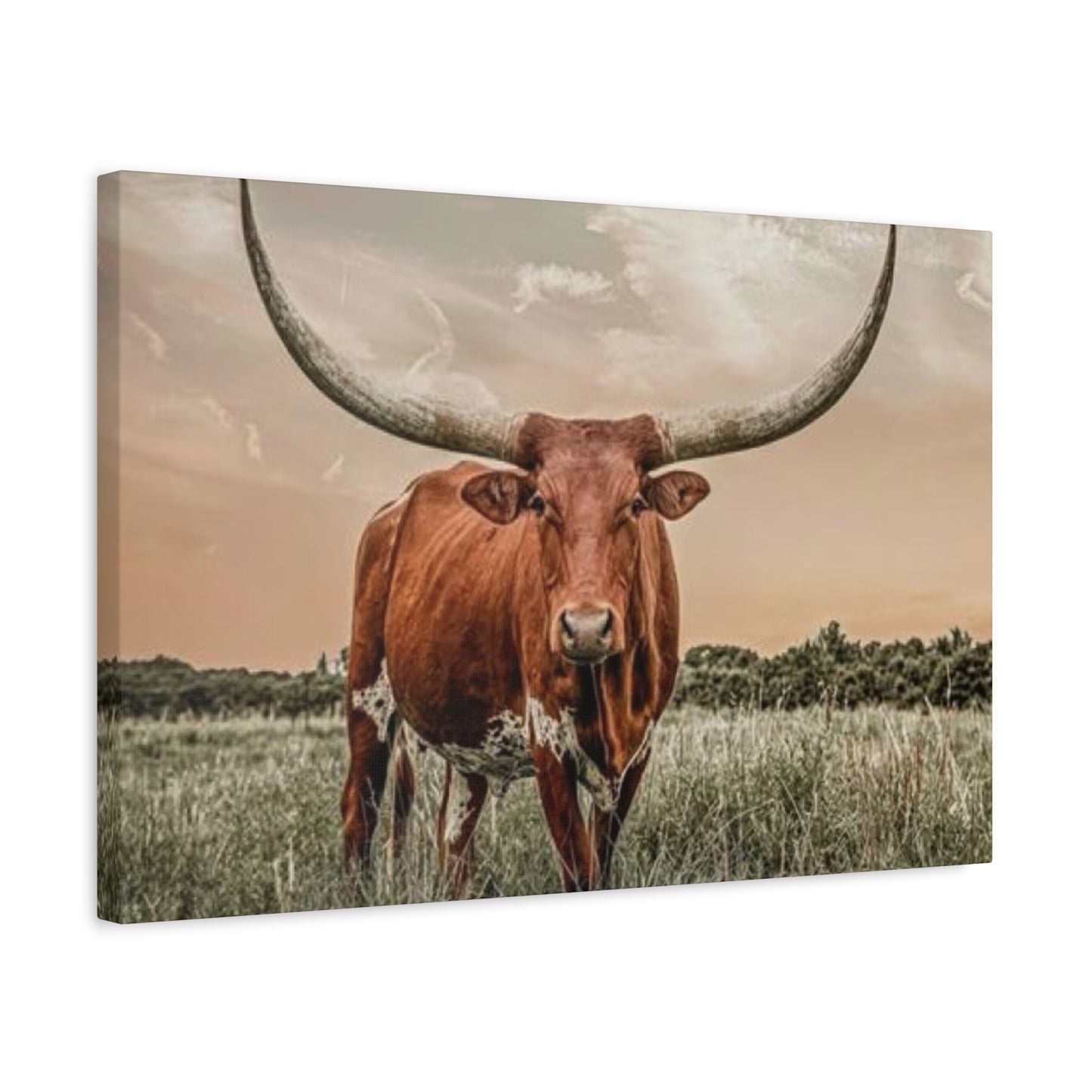 Hairy Buffalo U Shaped Long Horns Wall Art & Canvas Prints