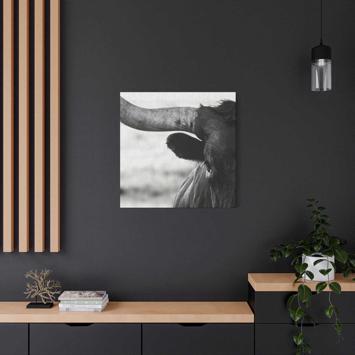 Close Up Of Long Horn Wall Art & Canvas Prints