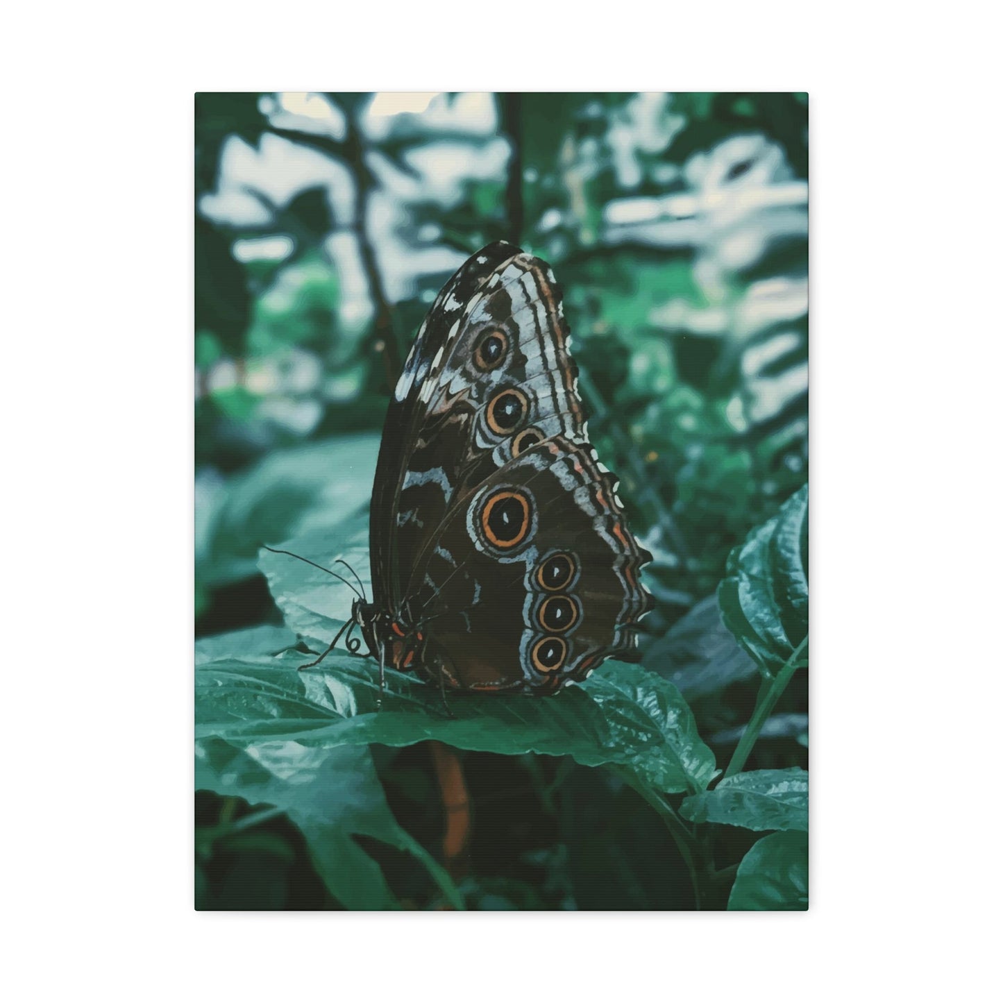 Butterfly Wall Art & Canvas Prints