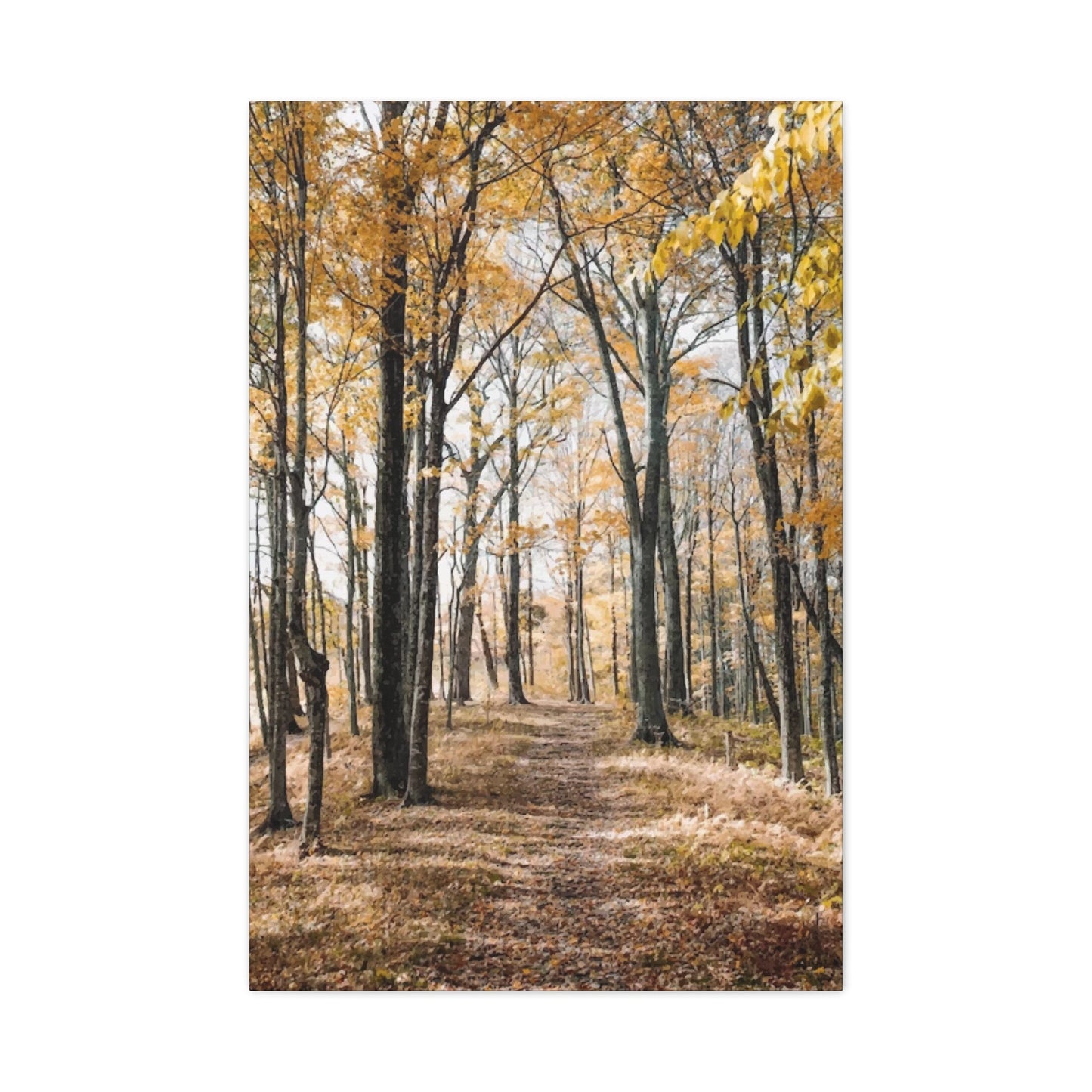 Fall Wall Art & Canvas Prints