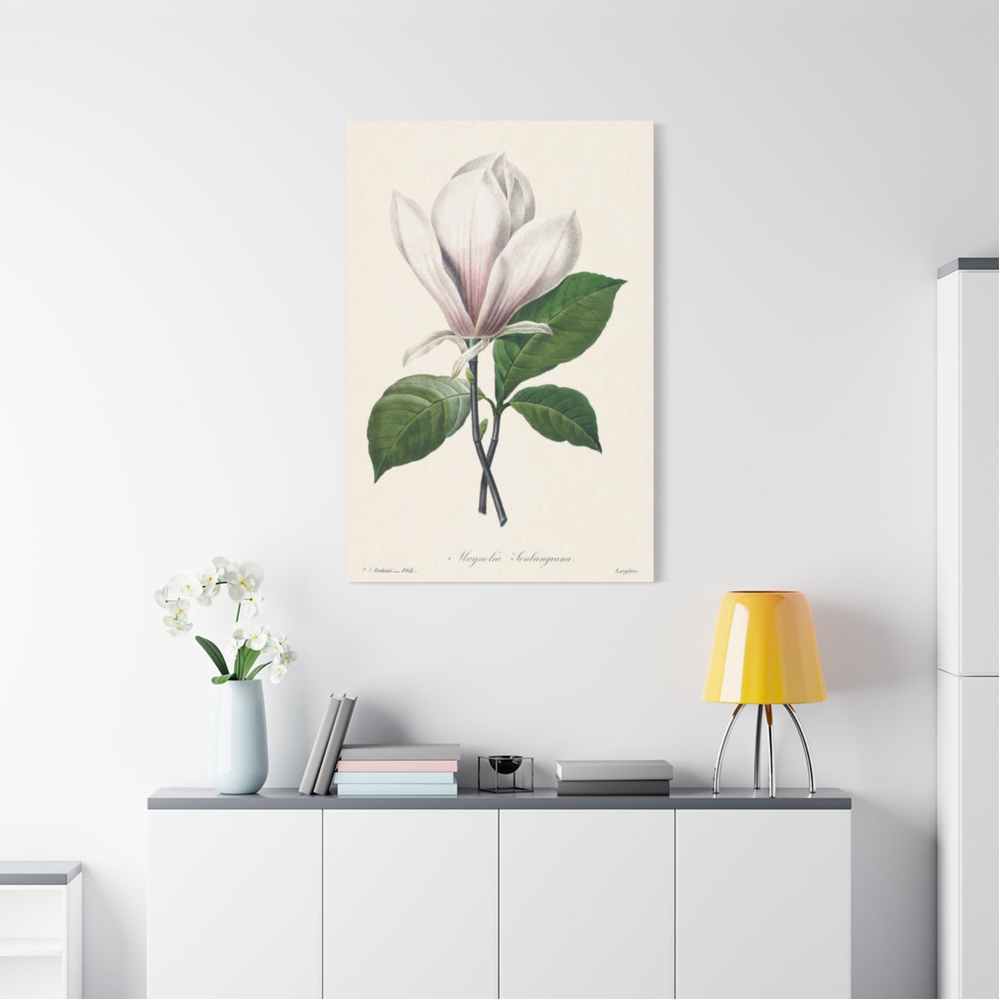 Beautiful Pink Magnolia Flower Painting Wall Art & Canvas Prints