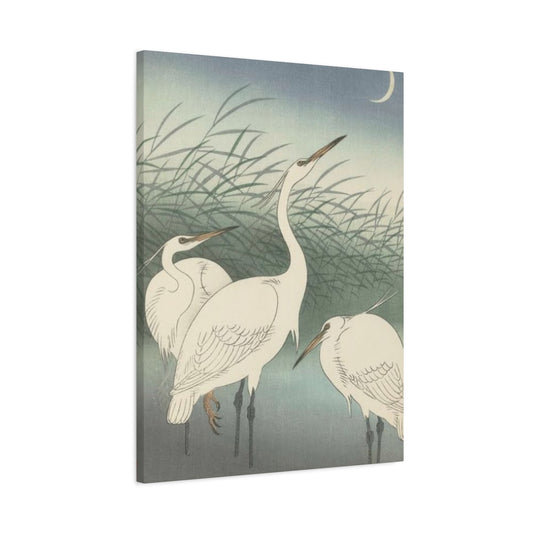 Beautiful Herons Together Wall Art & Canvas Prints