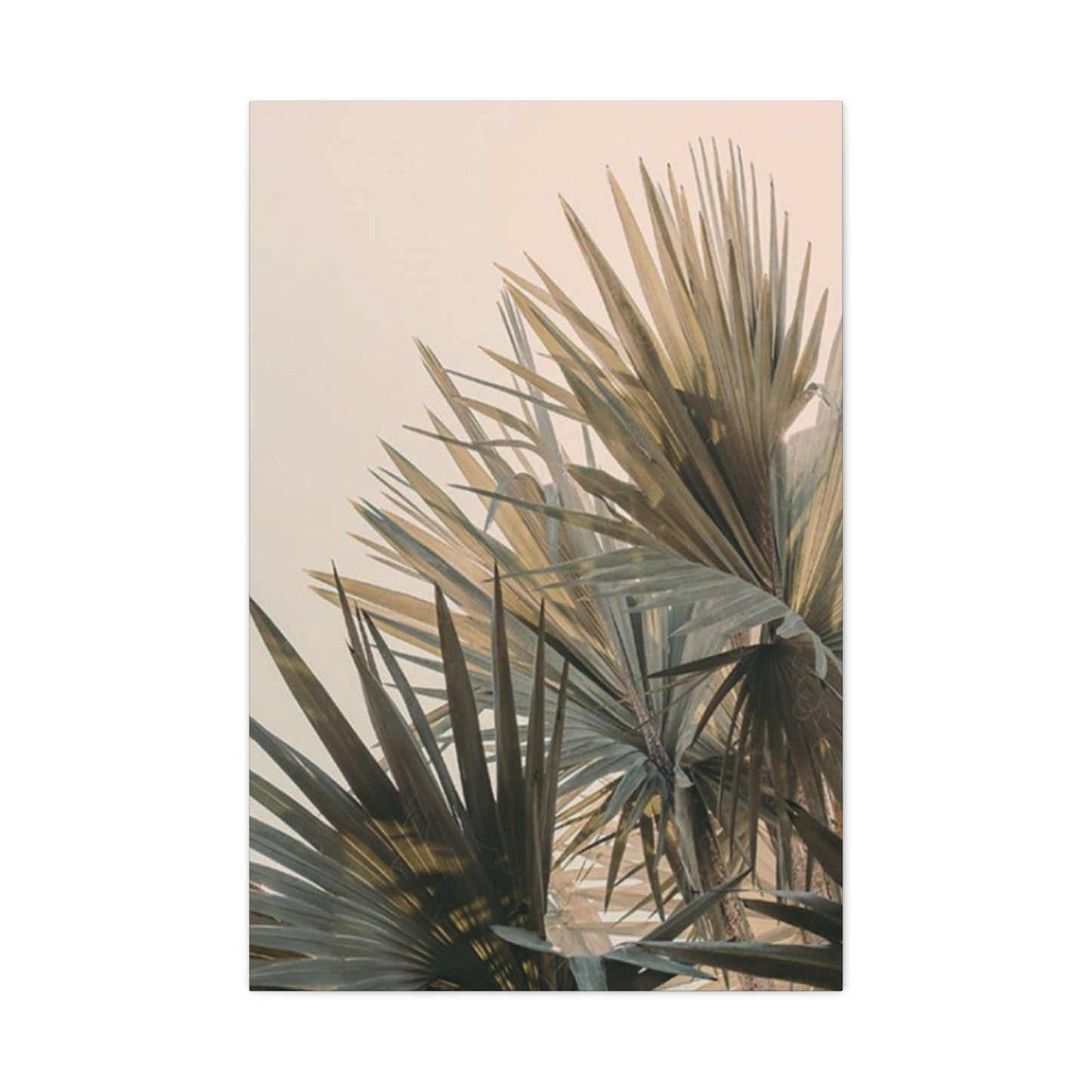 Palm Tree Leaves Close Up Wall Art & Canvas Prints