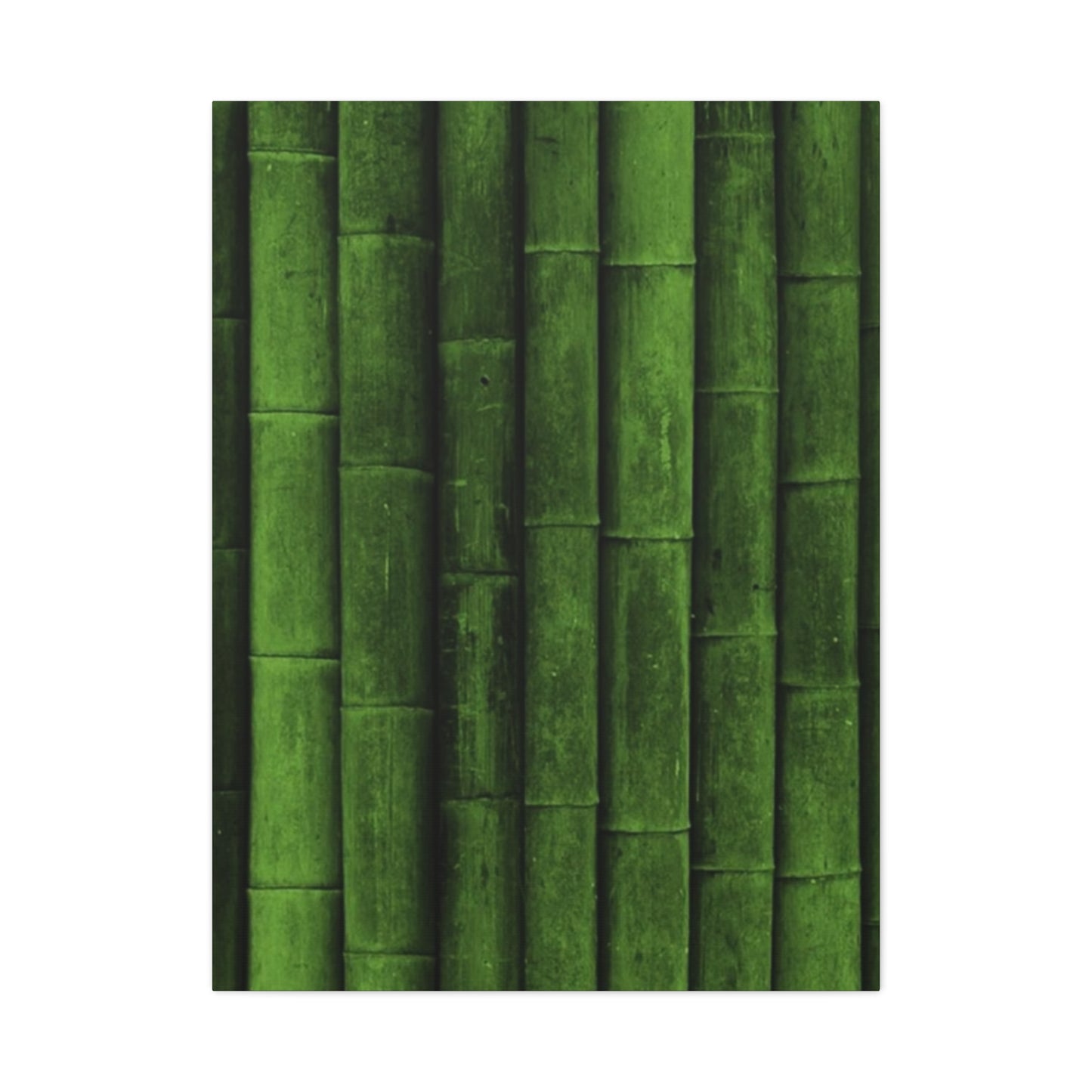 Olive Green Bamboo Painting Wall Art & Canvas Prints