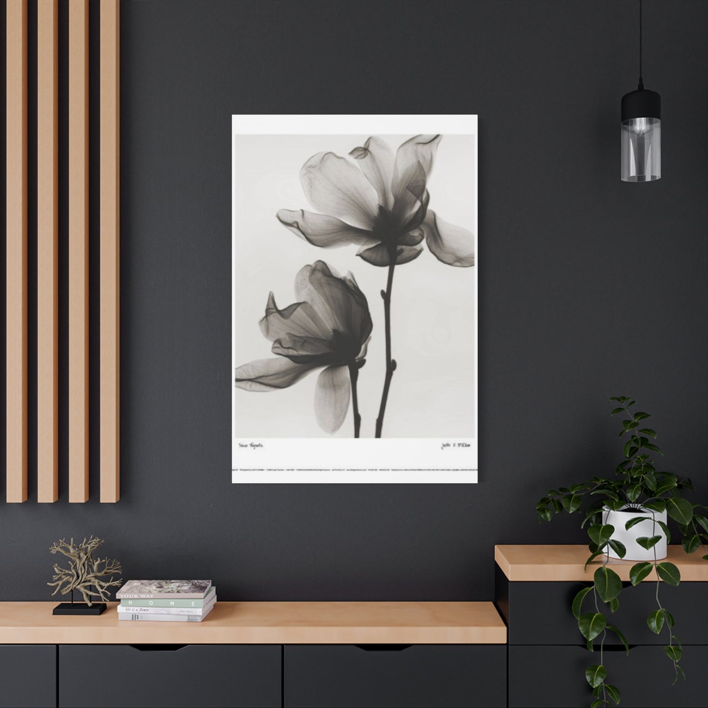 Beautiful Magnolia Flower X Ray Photo Wall Art & Canvas Prints