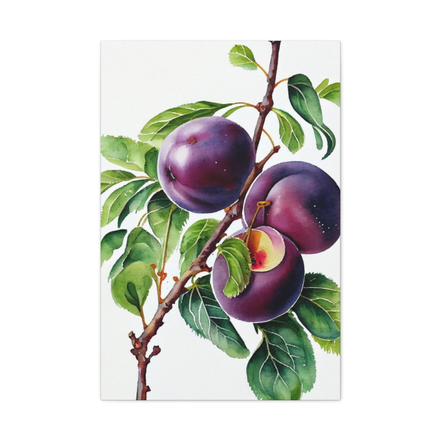 Black Plum Wall Art & Canvas Prints