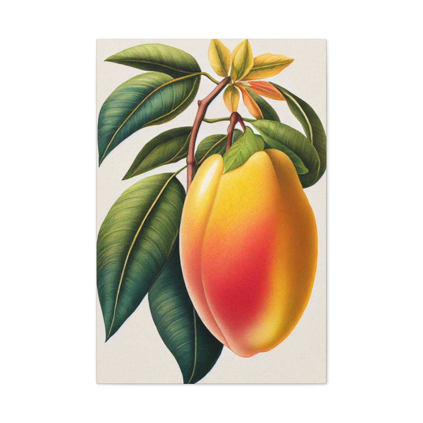 Mango Wall Art & Canvas Prints