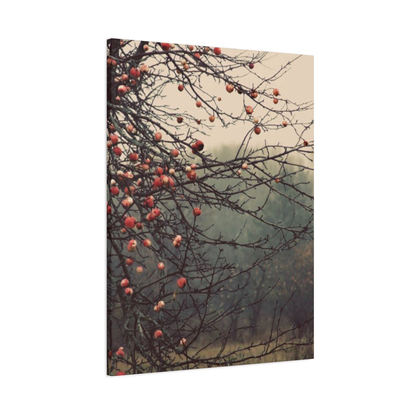 Fruit Tree Fine Wall Art & Canvas Prints