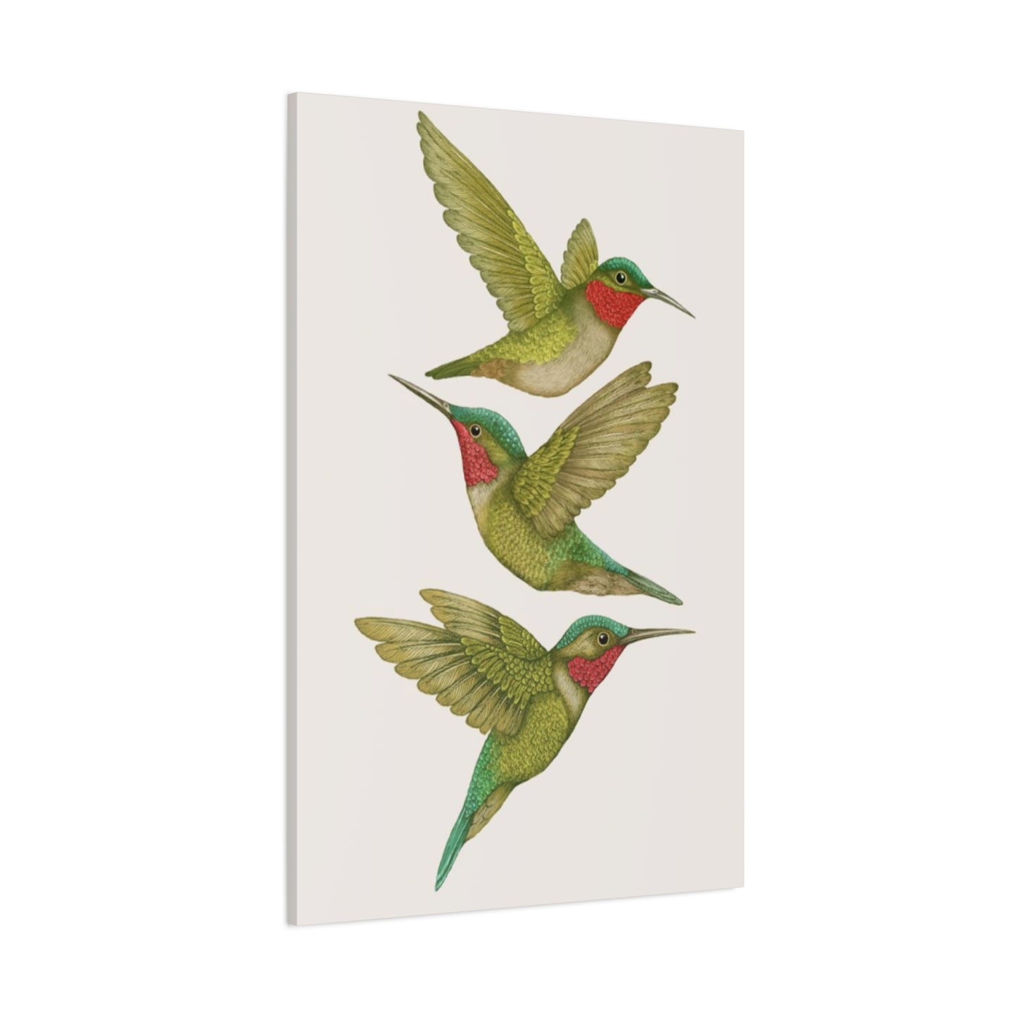 Three Green Humming Bird Painting Wall Art & Canvas Prints