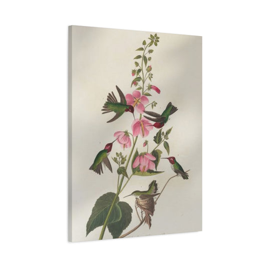 Humming Bird On Flower Painting Wall Art & Canvas Prints