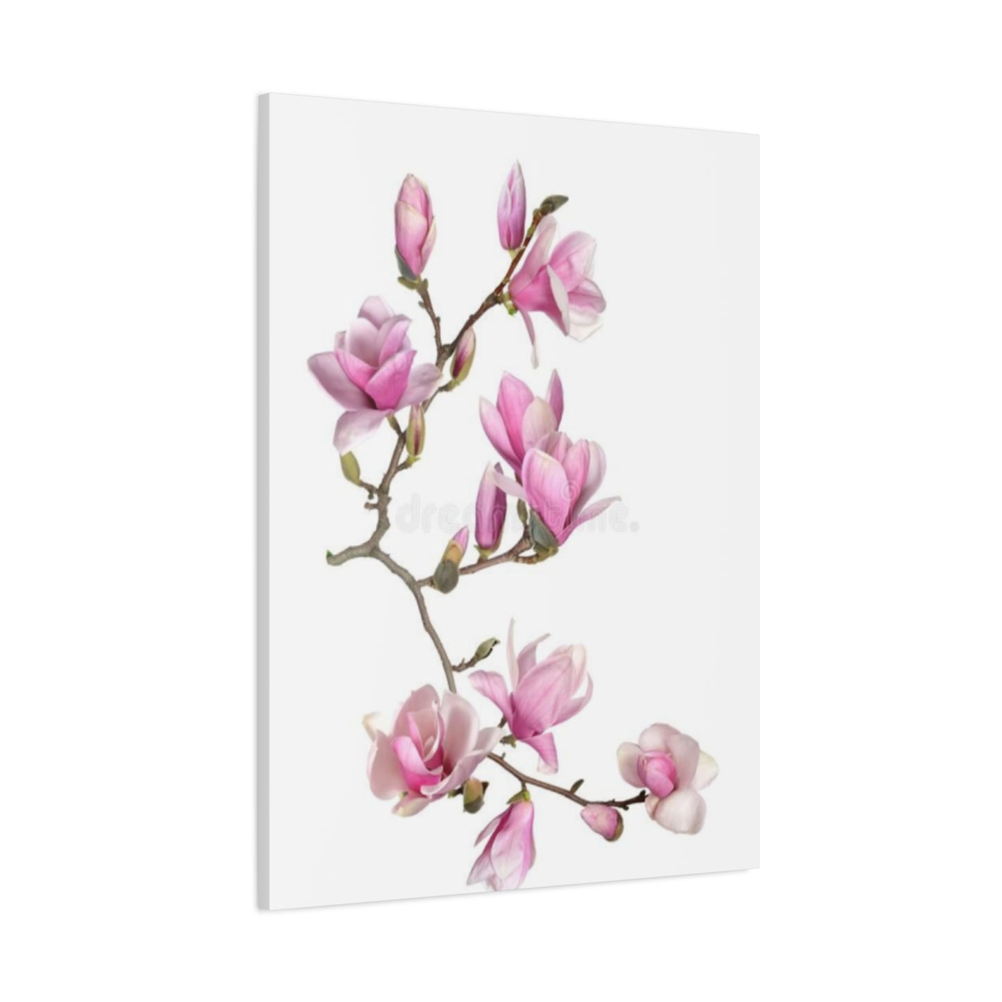 Beautiful Pink Magnolia Flower Painting Wall Art & Canvas Prints