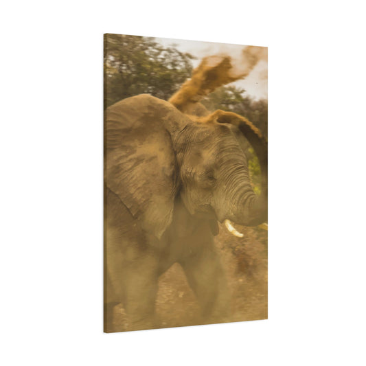 Elephant Wall Art & Canvas Prints