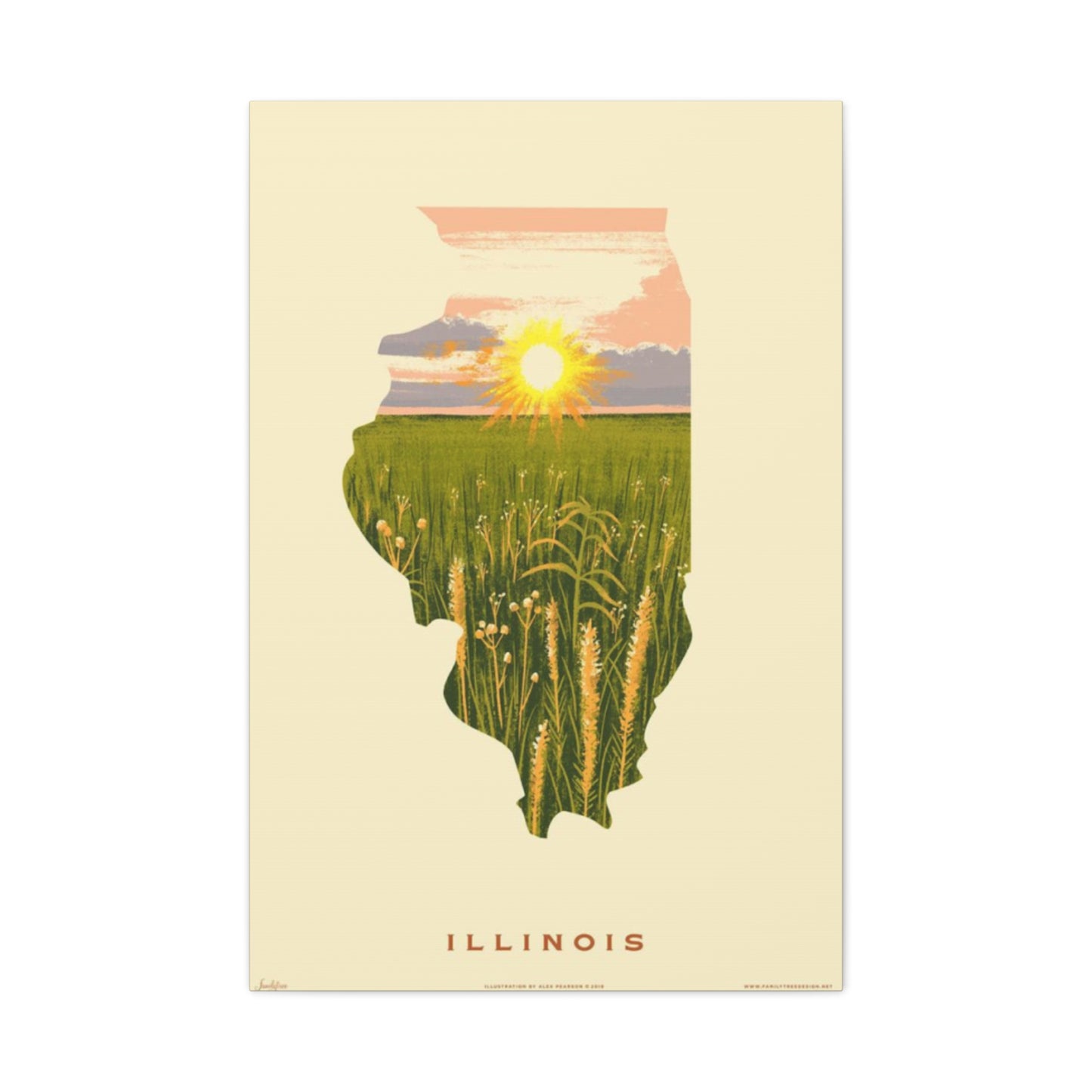 Illinois The National Park Wall Art & Canvas Prints