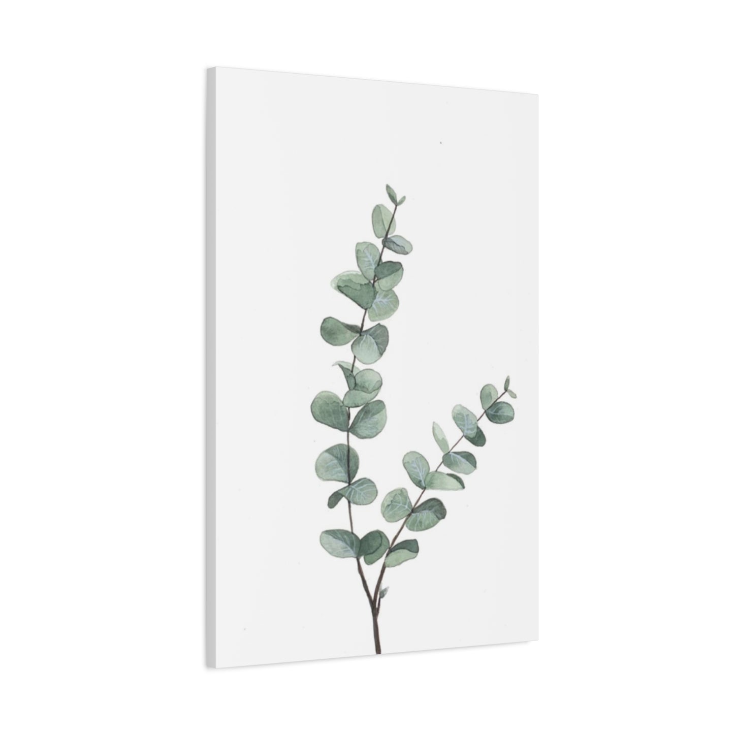 Eucalyptus Stem Wall Art & Canvas Prints