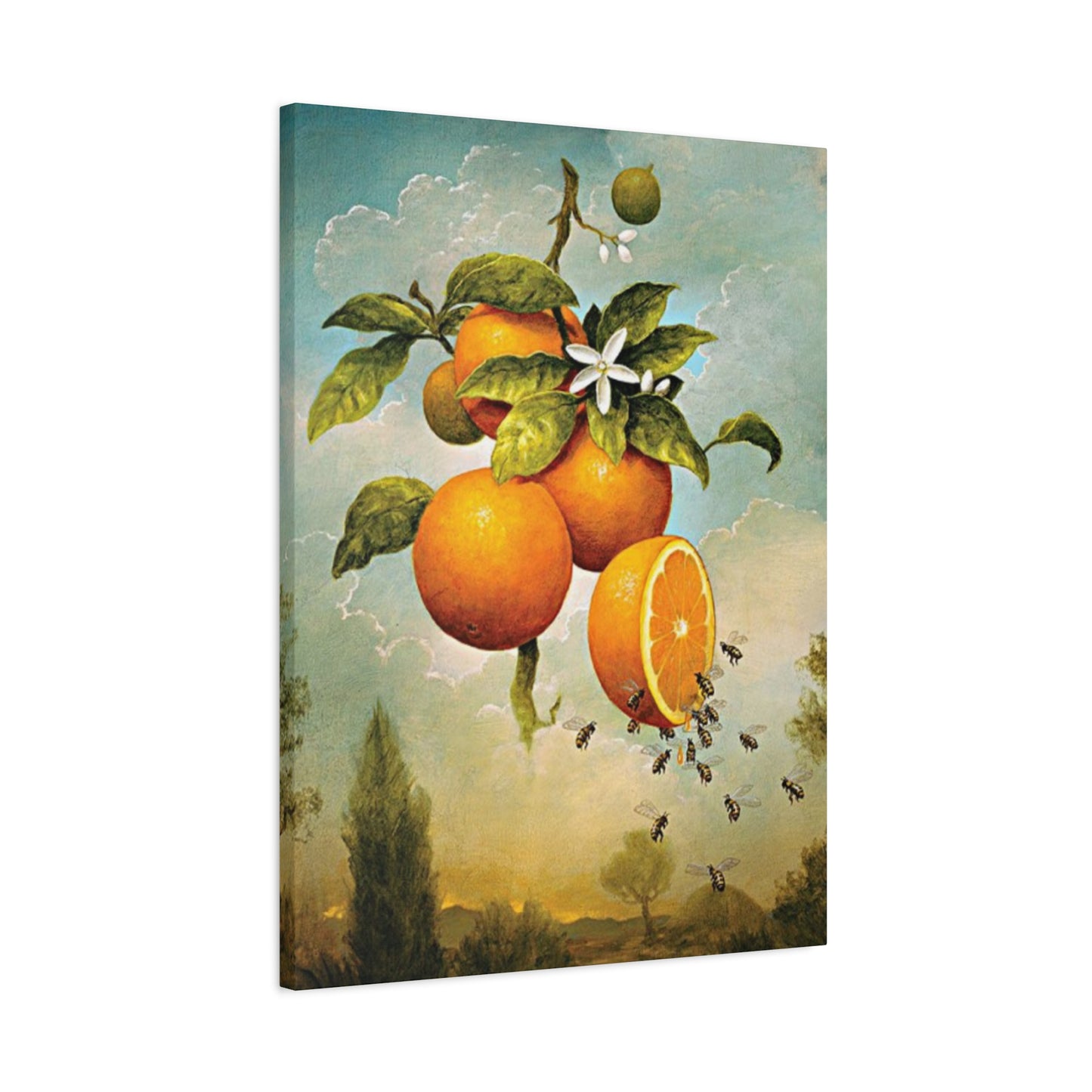 Orange Fruit Wall Art & Canvas Prints