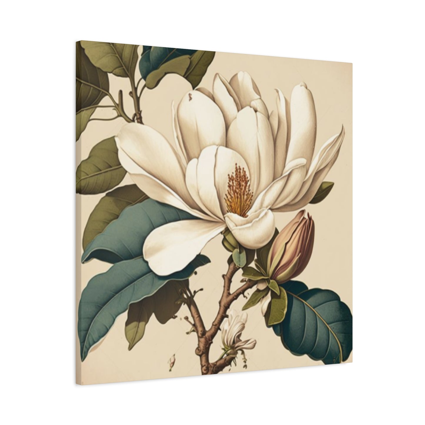 Beautiful Magnolia Flower Wall Art & Canvas Prints