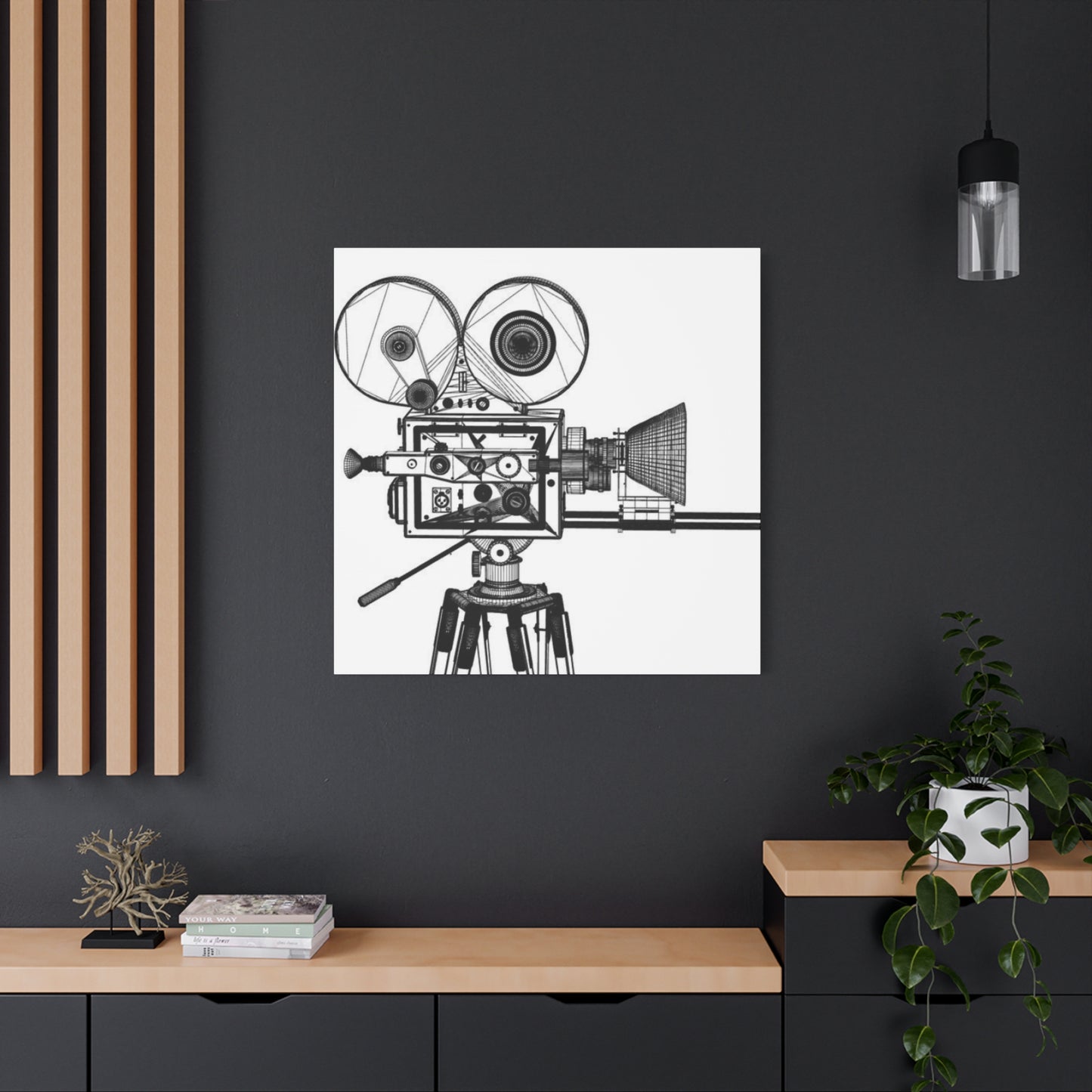 Cinema Camera Wall Art & Canvas Prints