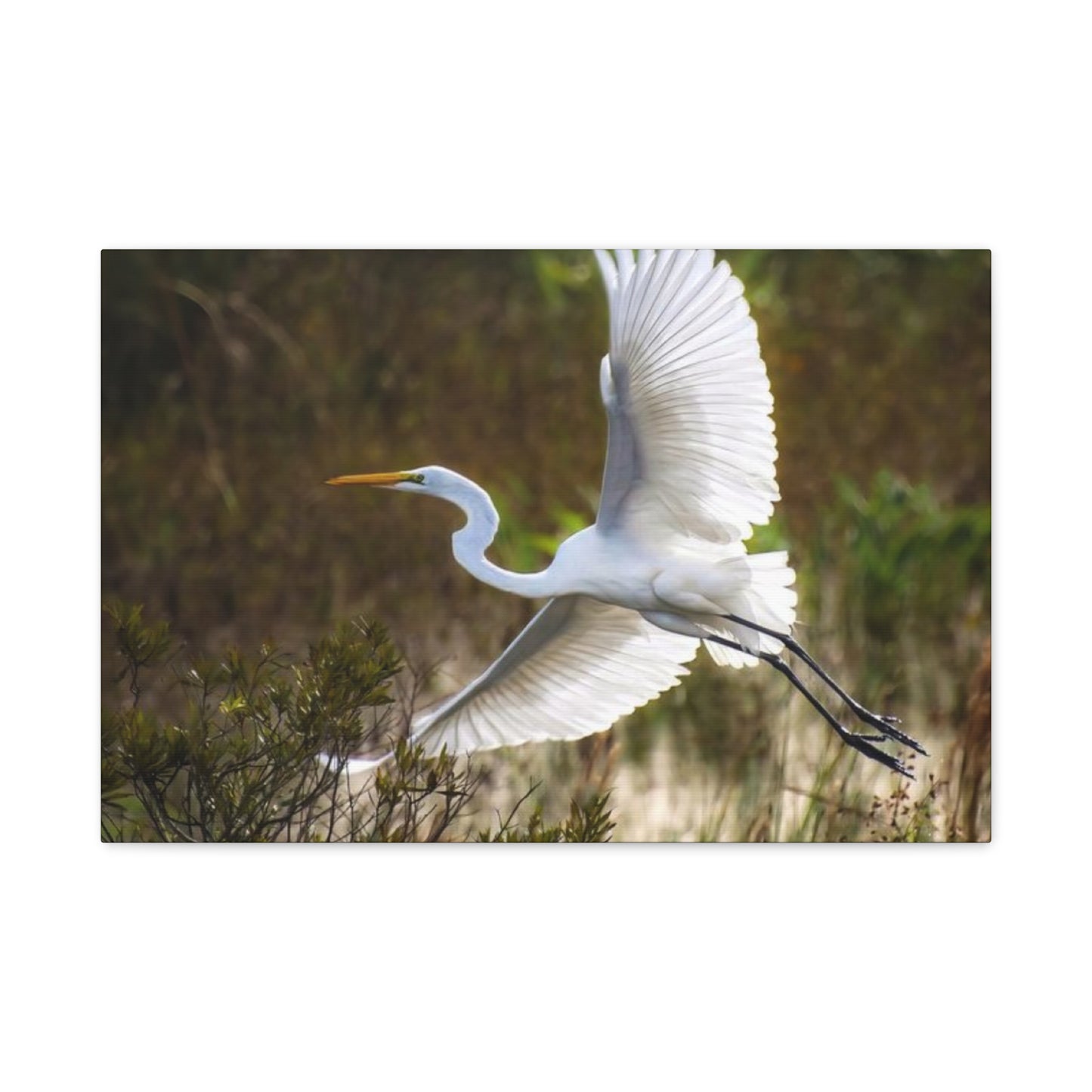 Flying Heron Wall Art & Canvas Prints