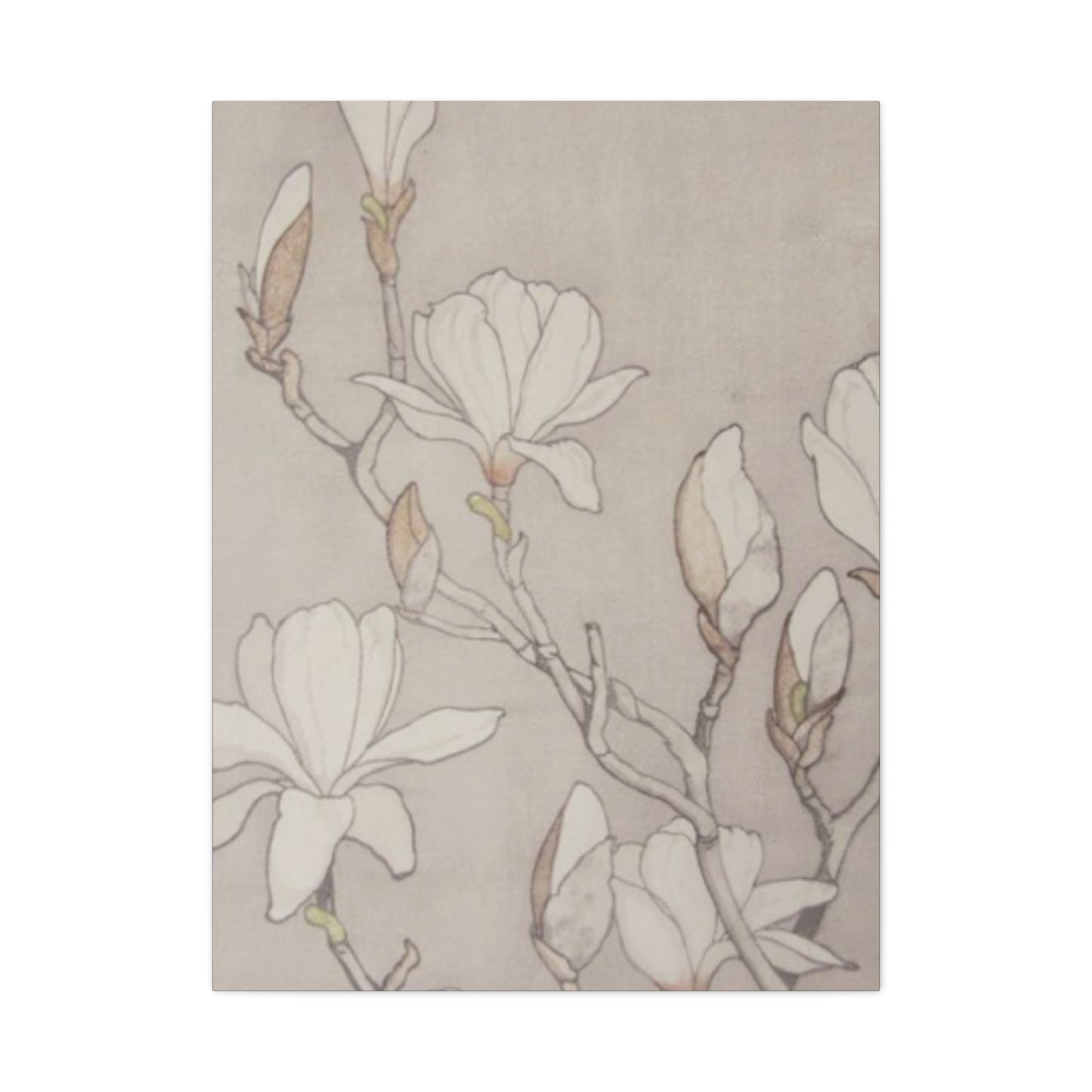 Beautiful Vintage Magnolia Flower Painting Wall Art & Canvas Prints