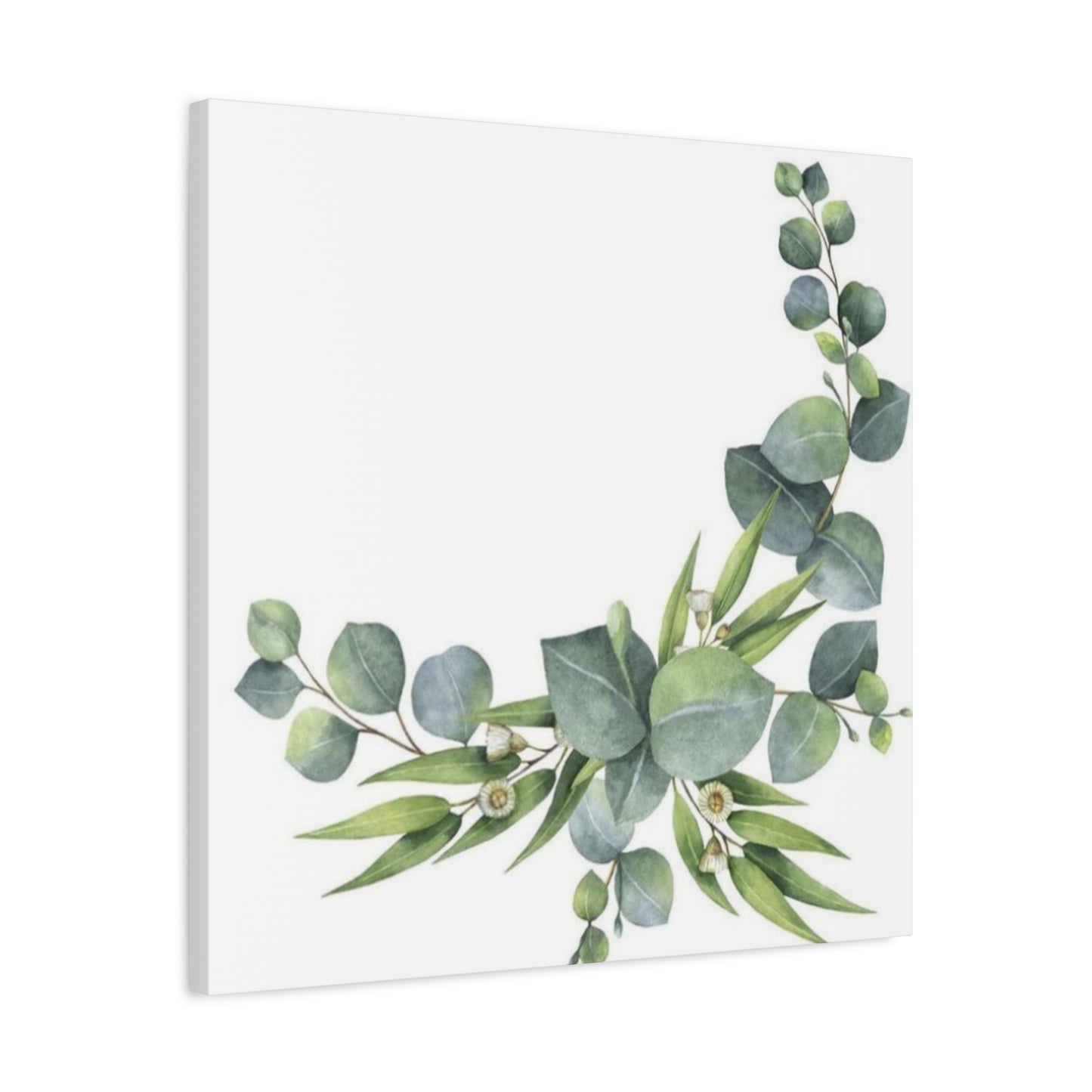 Flower of Eucalyptus Wall Art & Canvas Prints