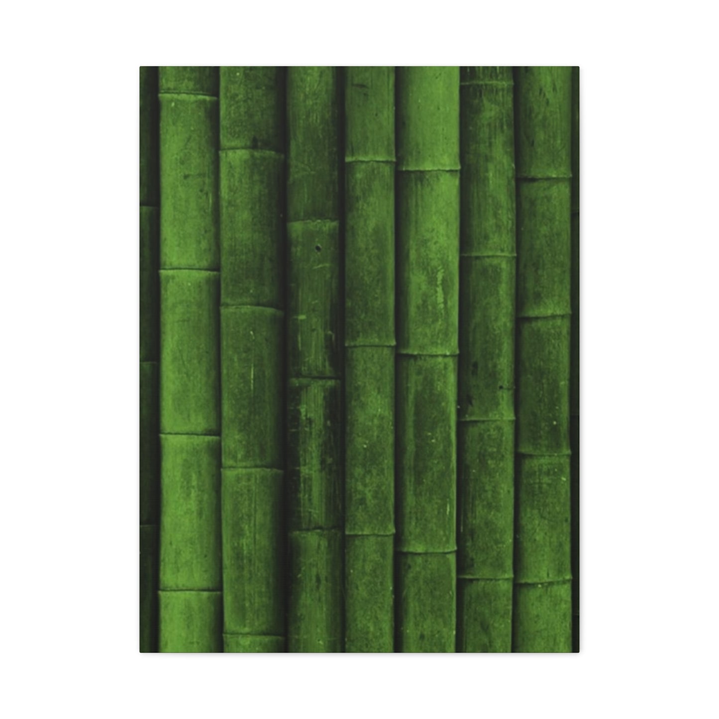 Olive Green Bamboo Painting Wall Art & Canvas Prints