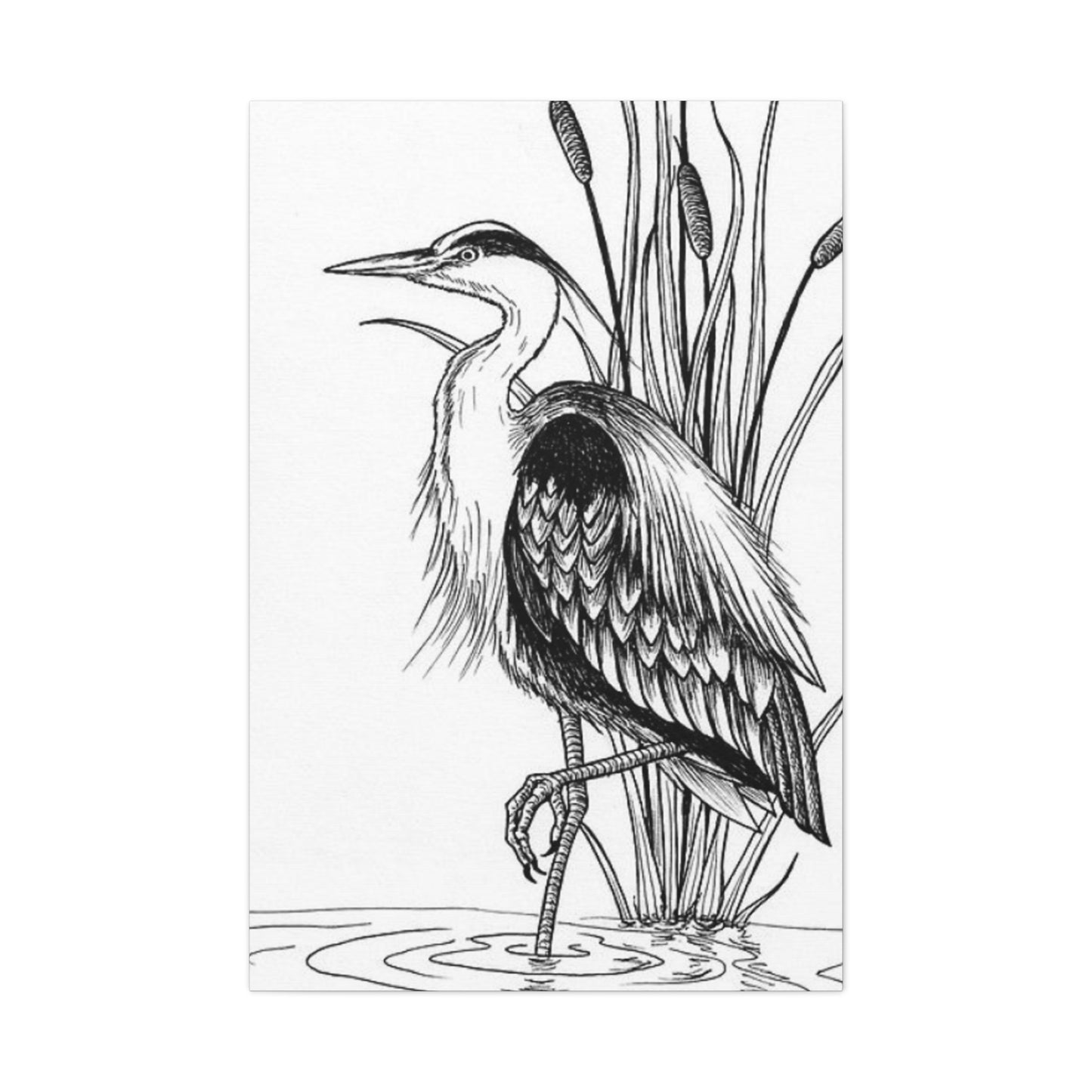 White Heron Drawing Wall Art & Canvas Prints