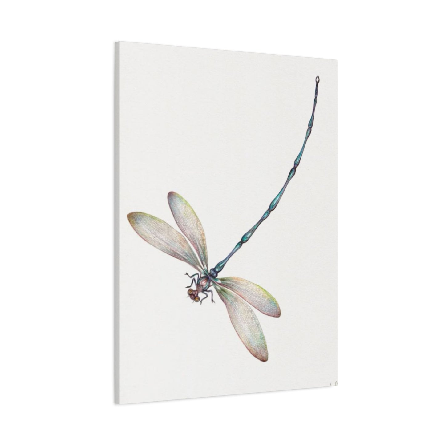 Long Blue Tail Dragonfly Wall Art & Canvas Prints