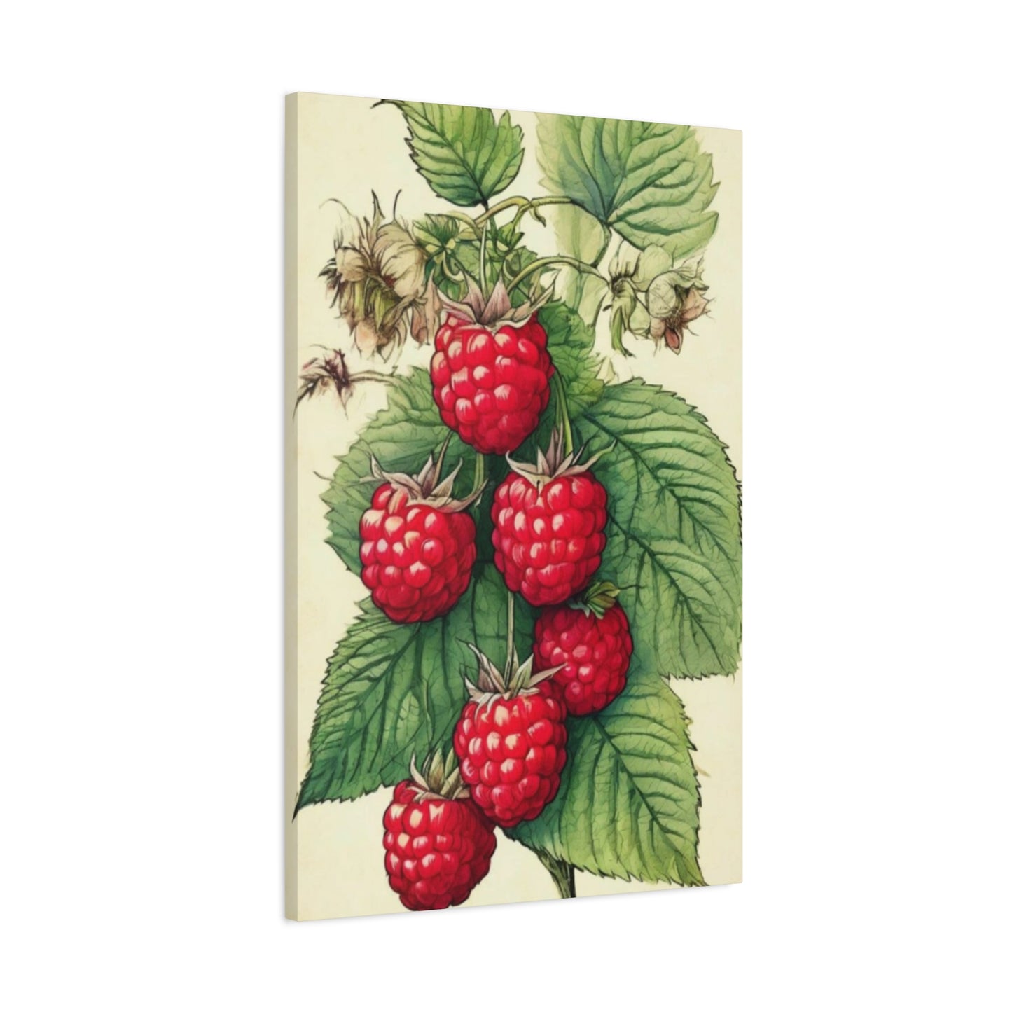 Strawberry Wall Art & Canvas Prints