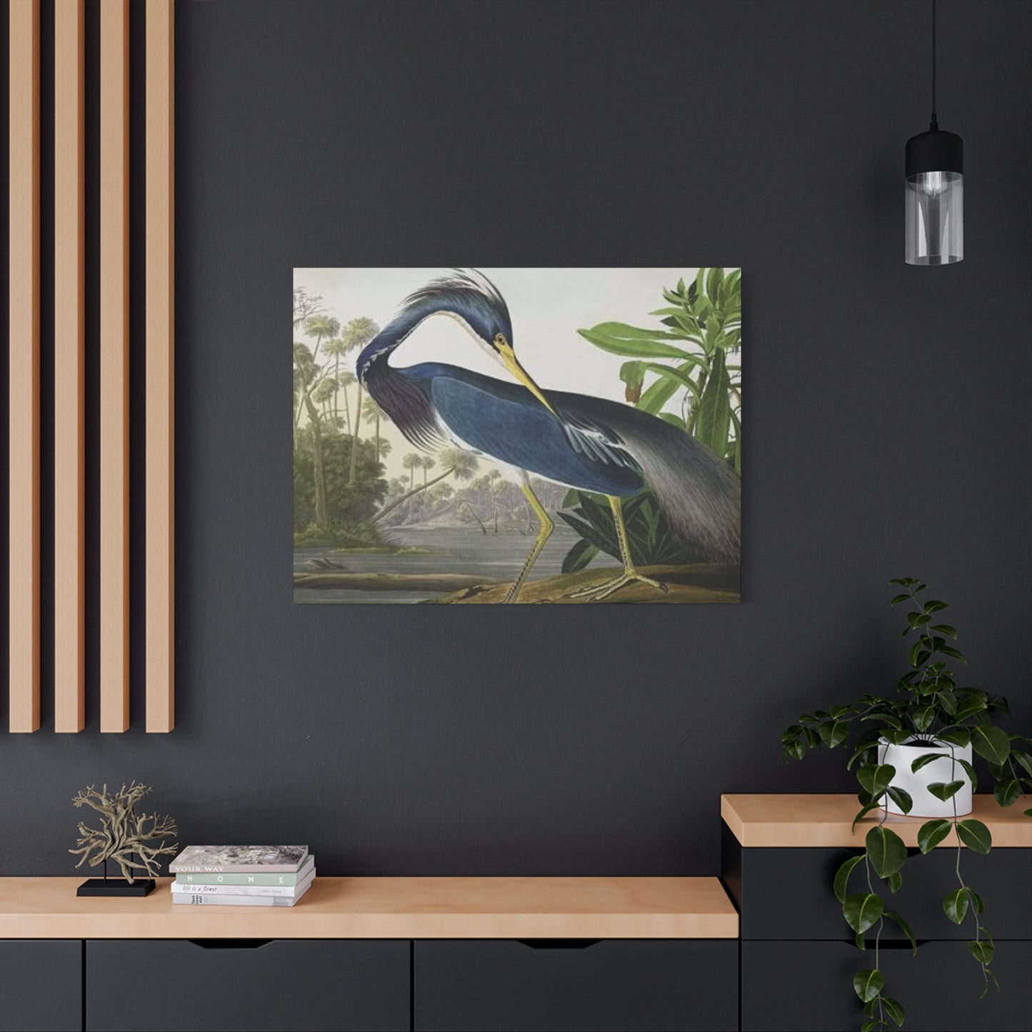 Long Feather Pelican Wall Art & Canvas Prints