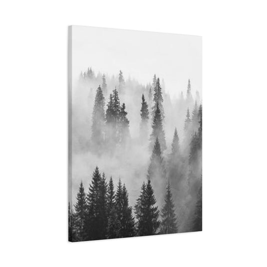 Black & White Fog Forest Fine Wall Art & Canvas Prints